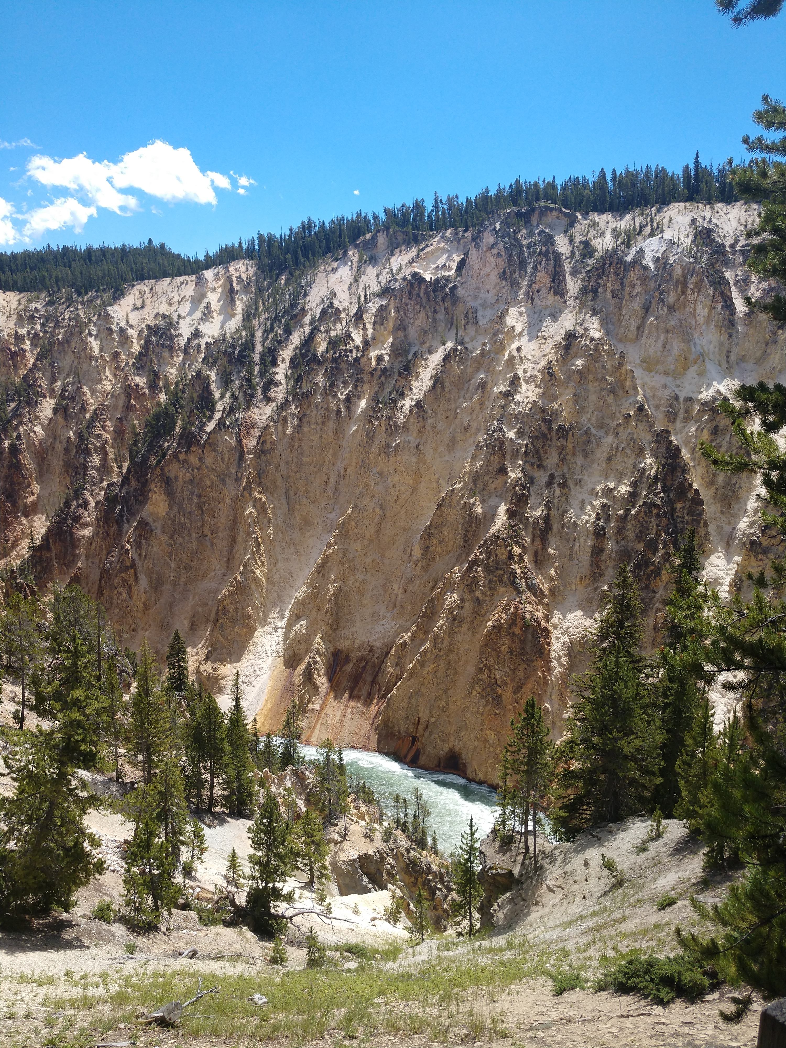 Bridge Bay Campground