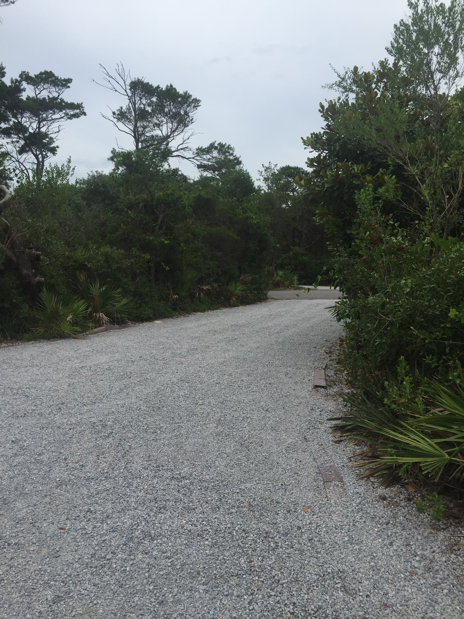 Henderson Beach State Park