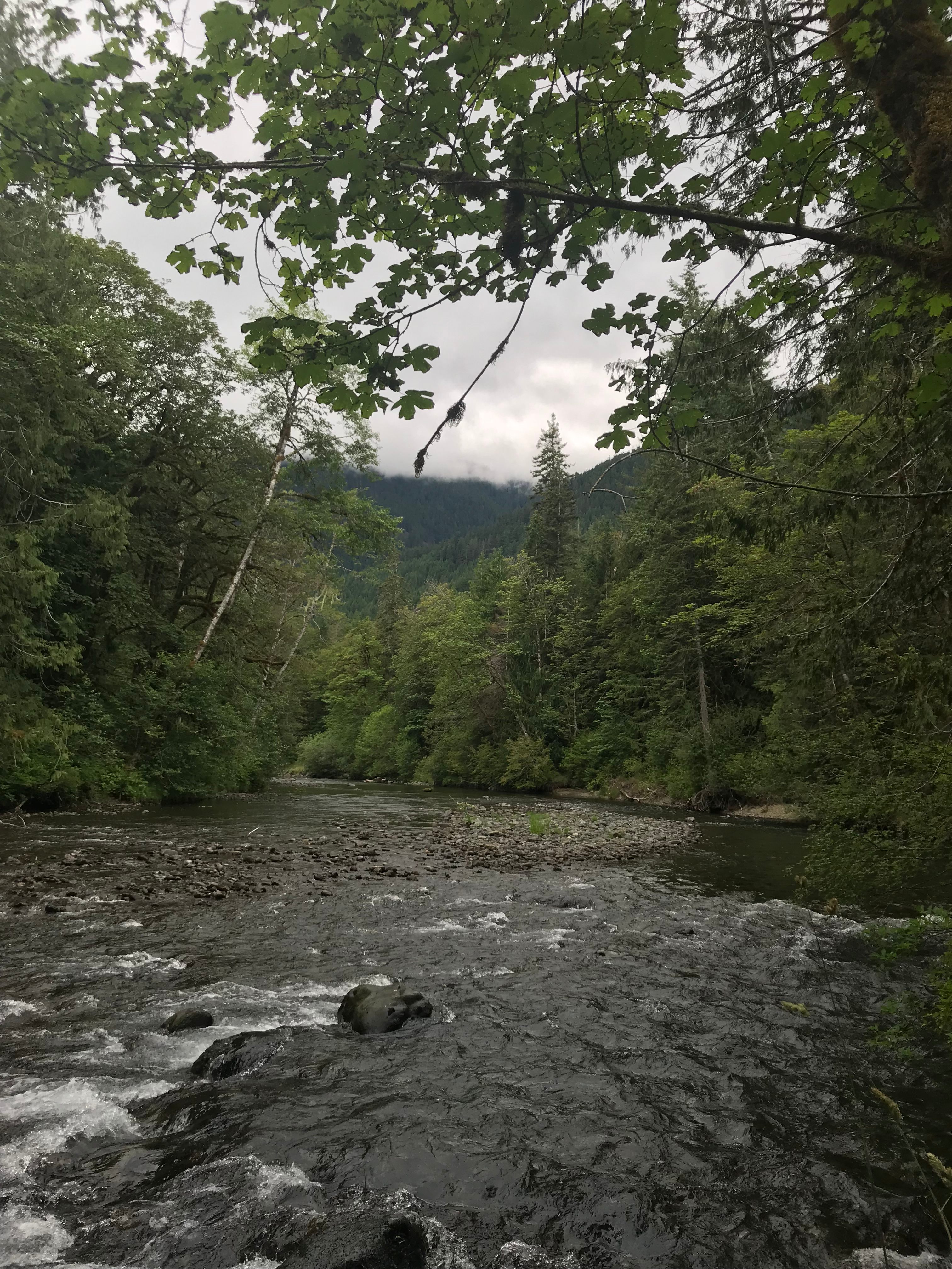  View from the trail on an overcast day.