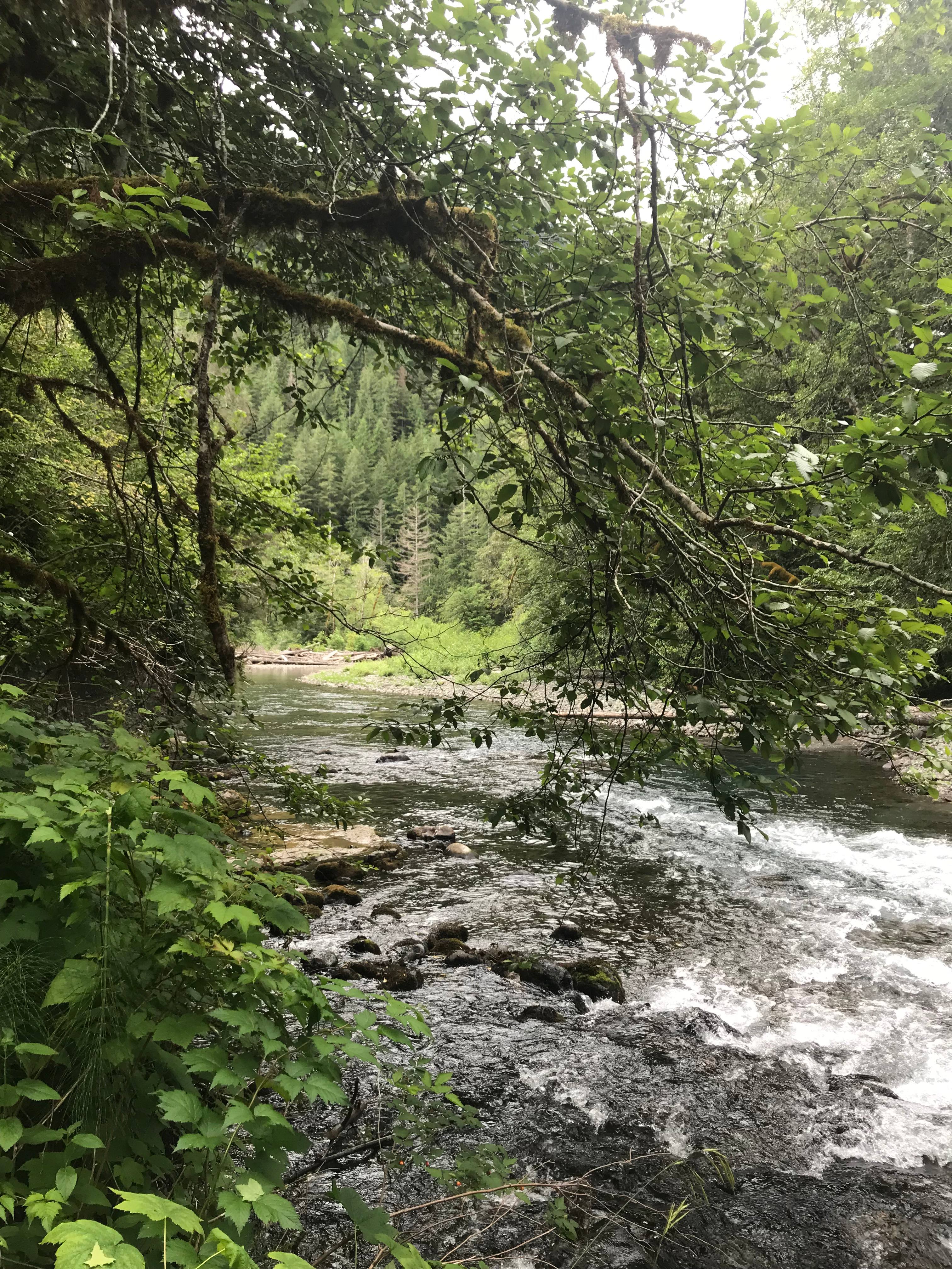The river is cold but gorgeous.