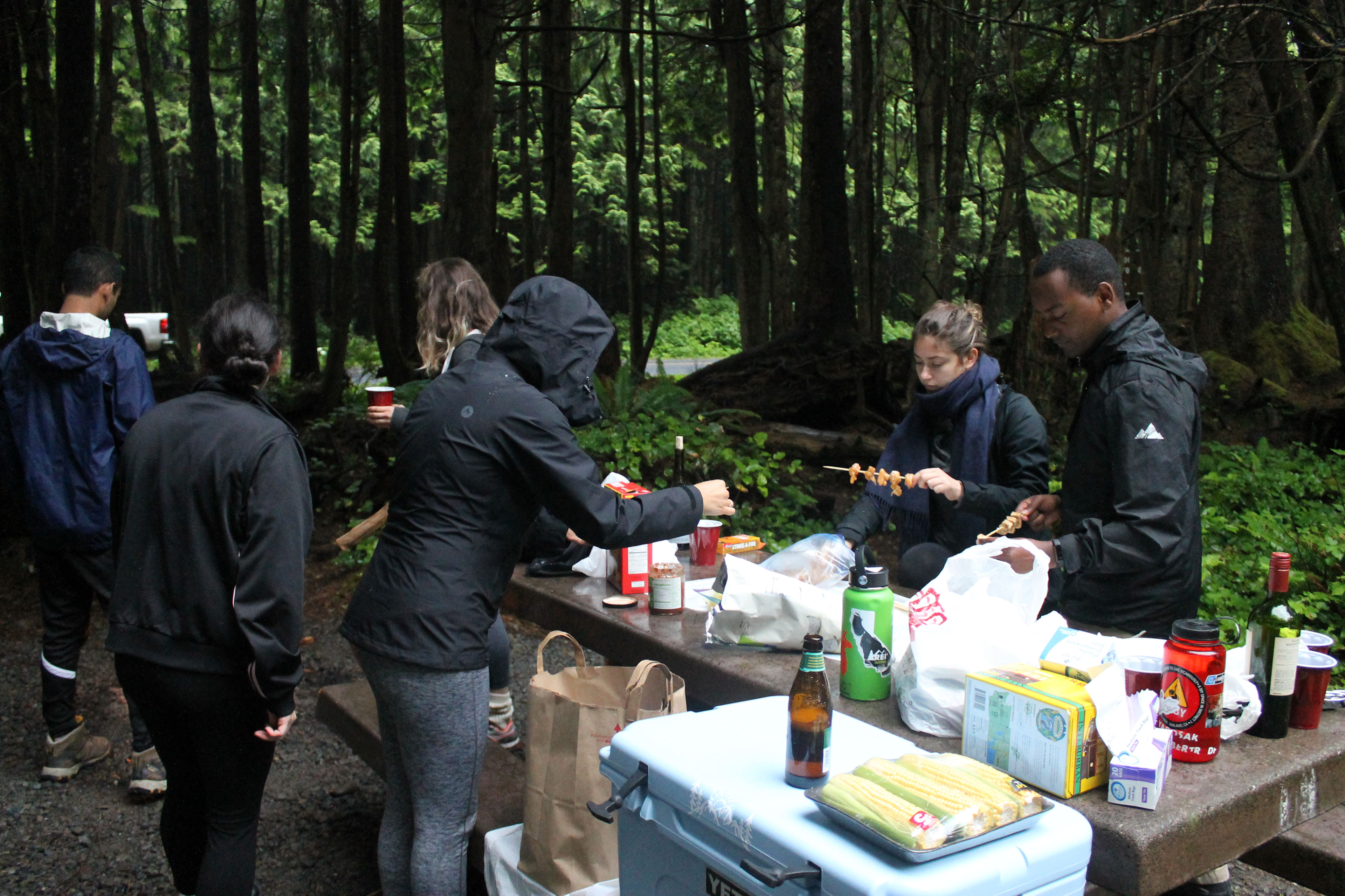 Olympic National Park