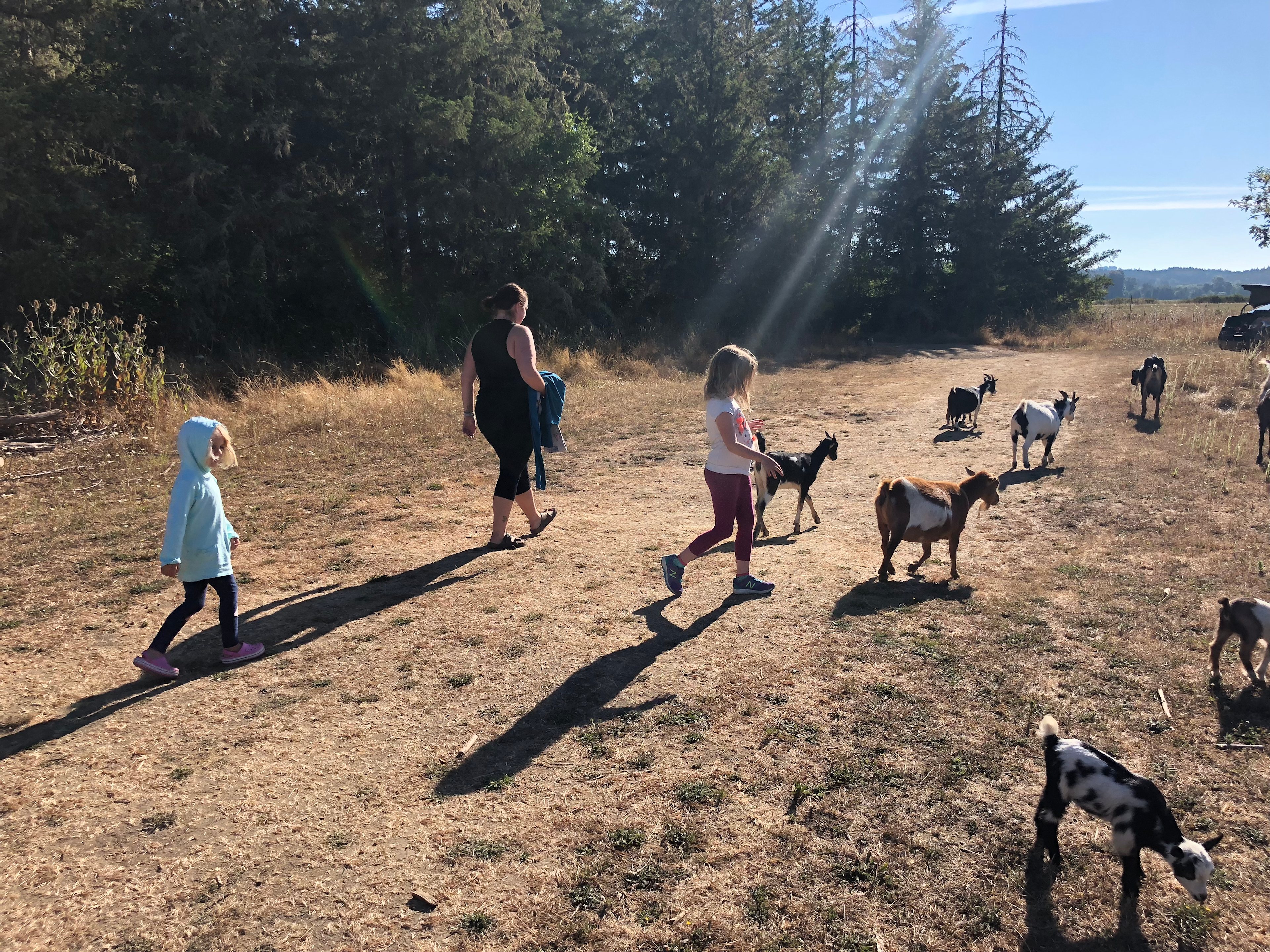 The friendly locals are always eager to join in your adventures 