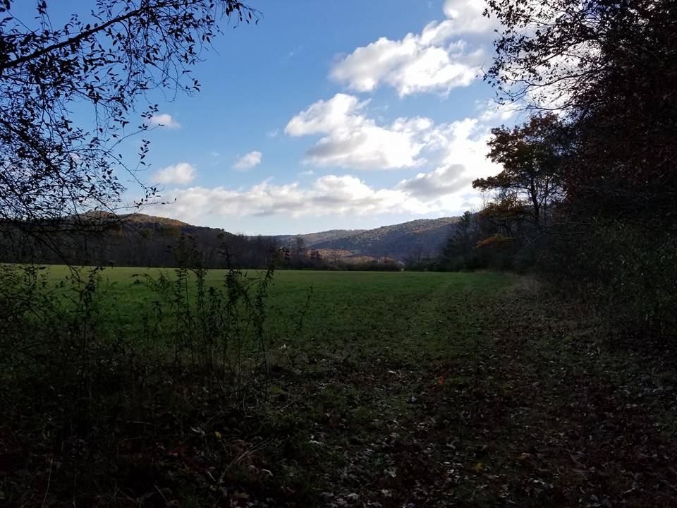 A beautiful morning.