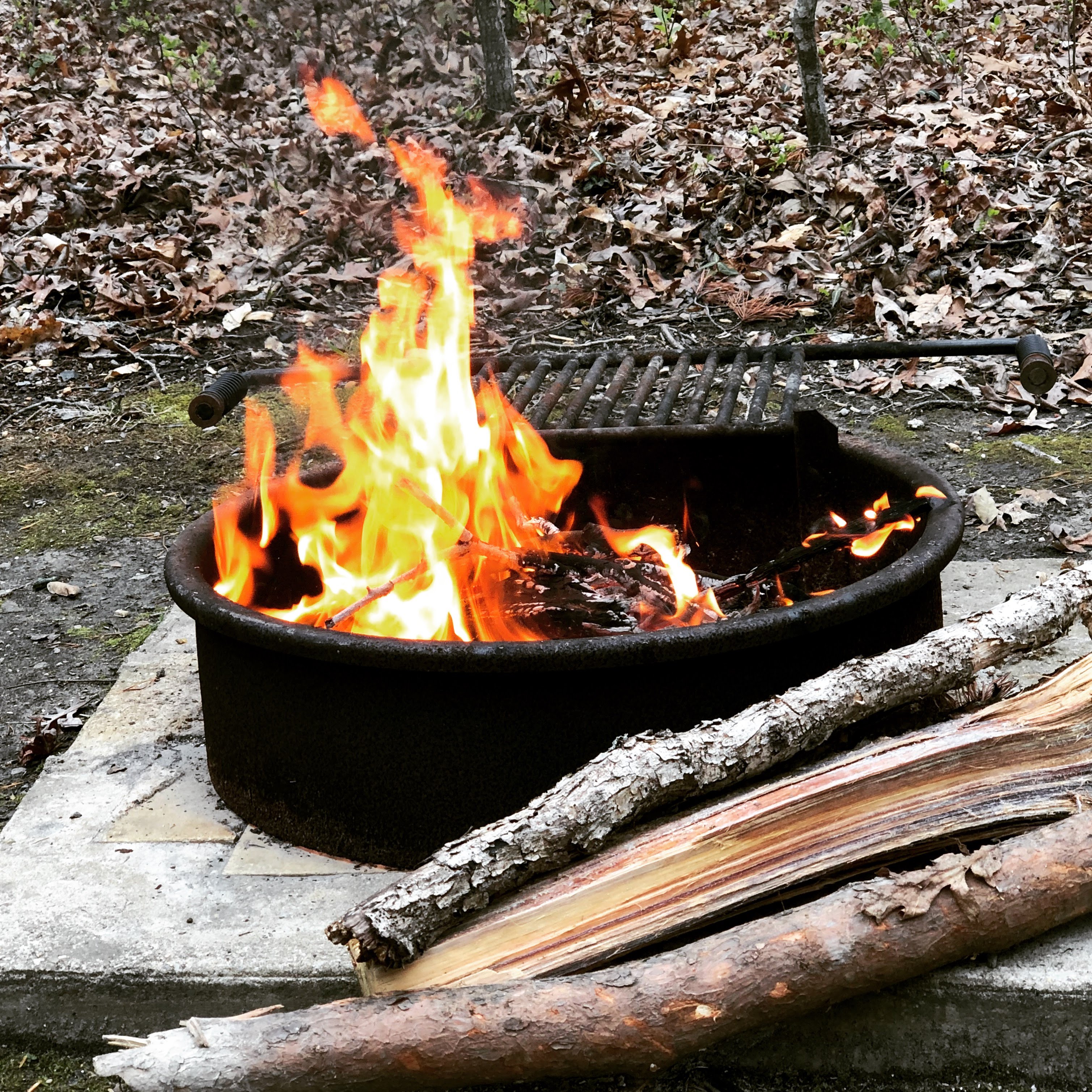 Oak Ridge Campground