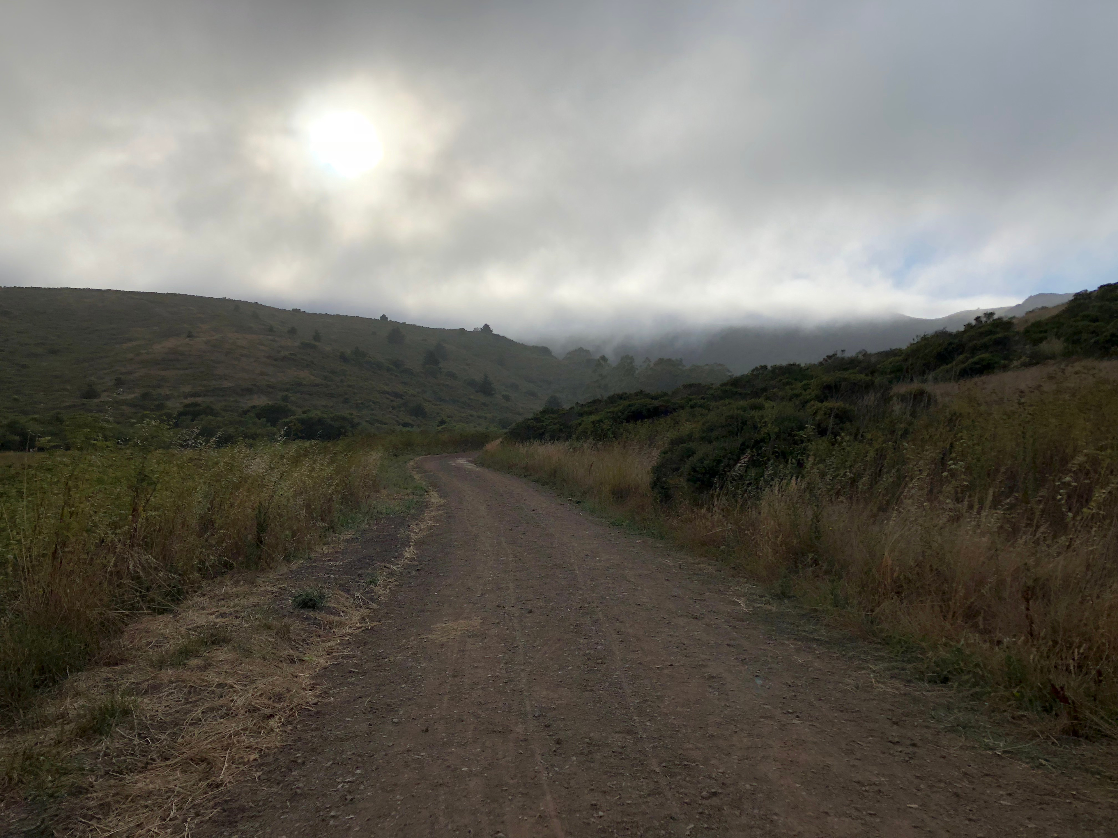 The half mile path out to the campsite directly.