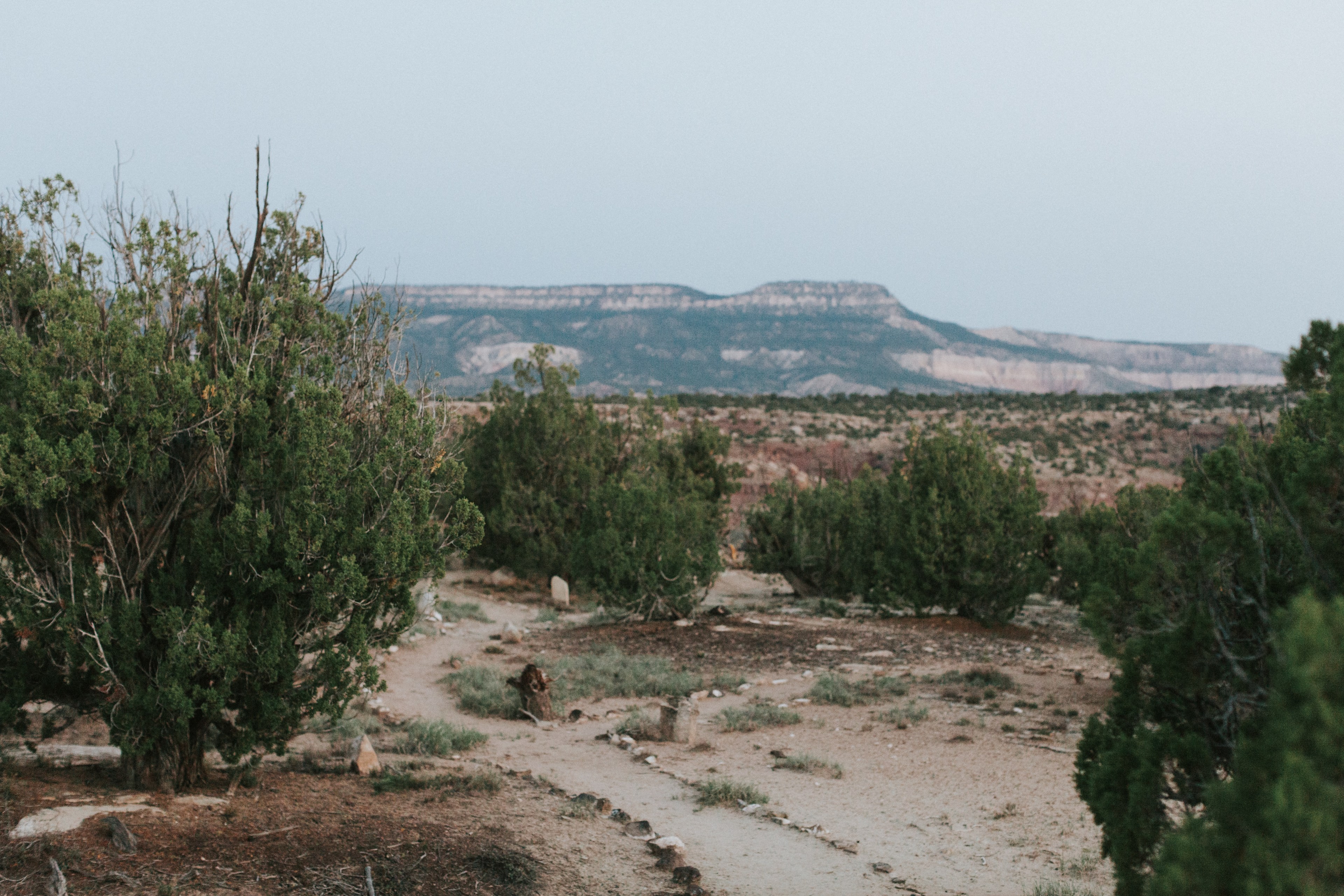 Trail to our campsite