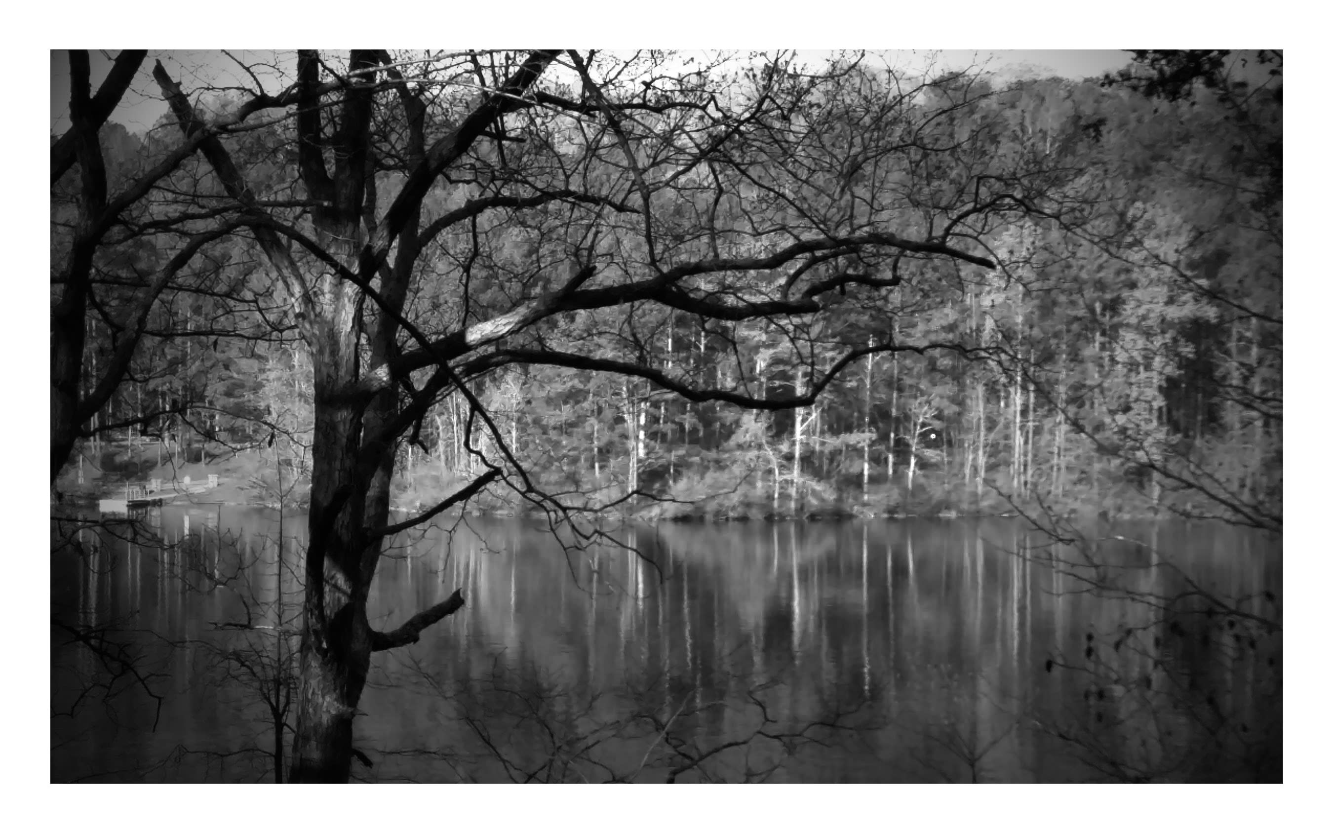 Stone Mountain State Park