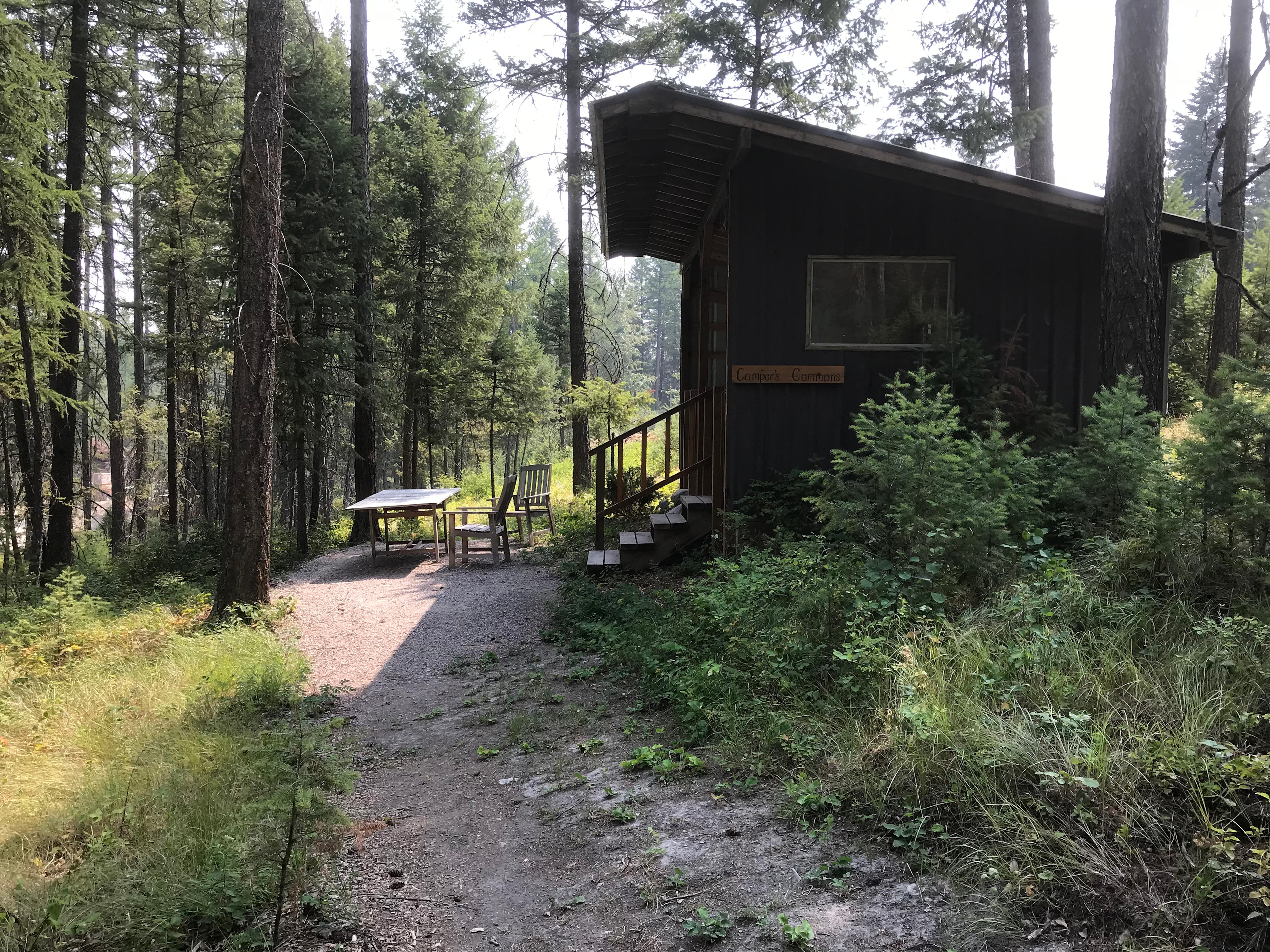 The short path to the Lean-to is fairly level