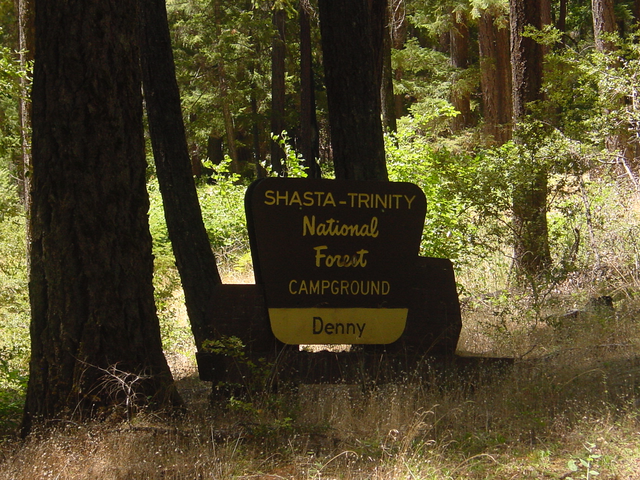 Denny Campground