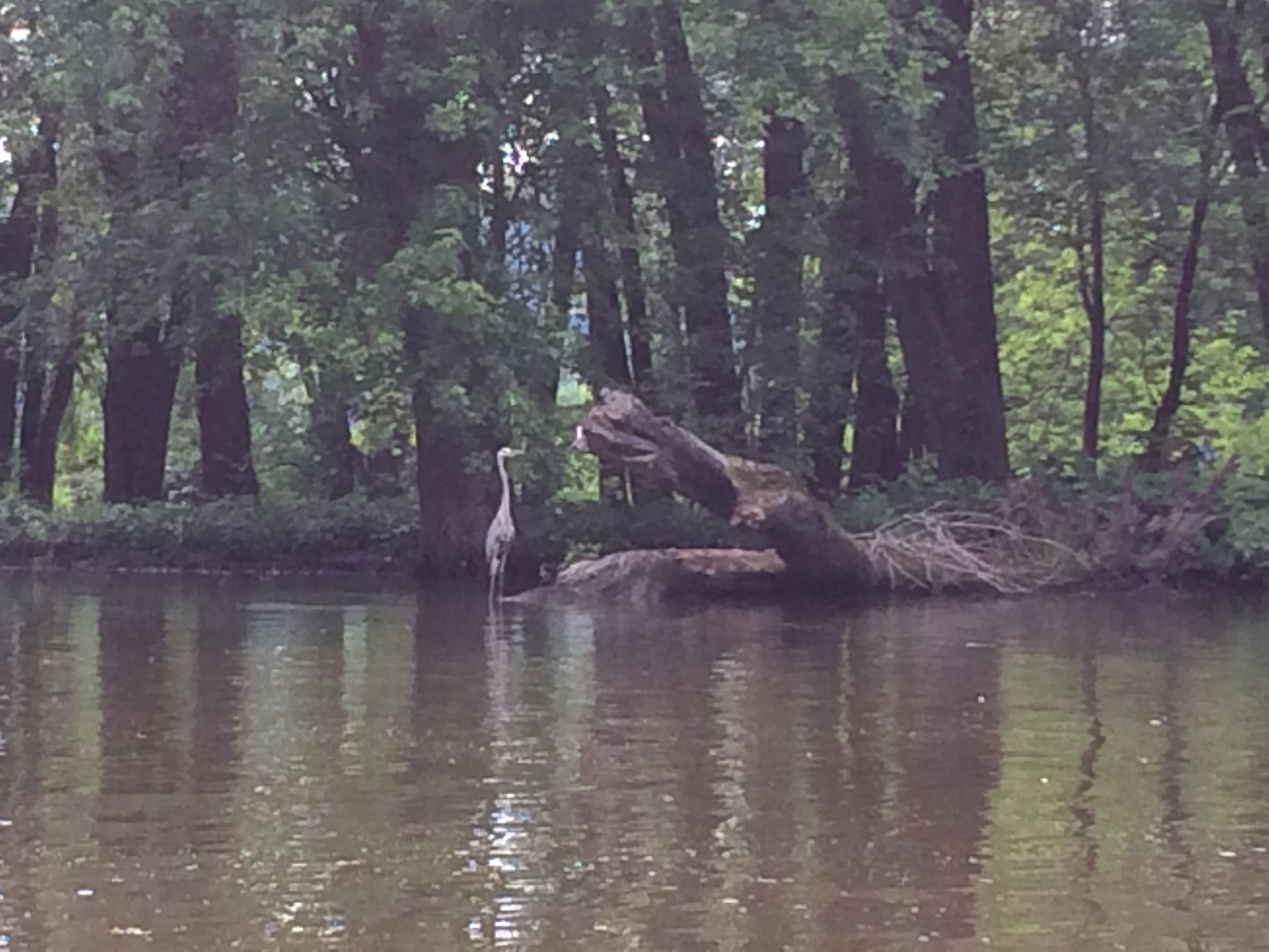 Wyalusing State Park