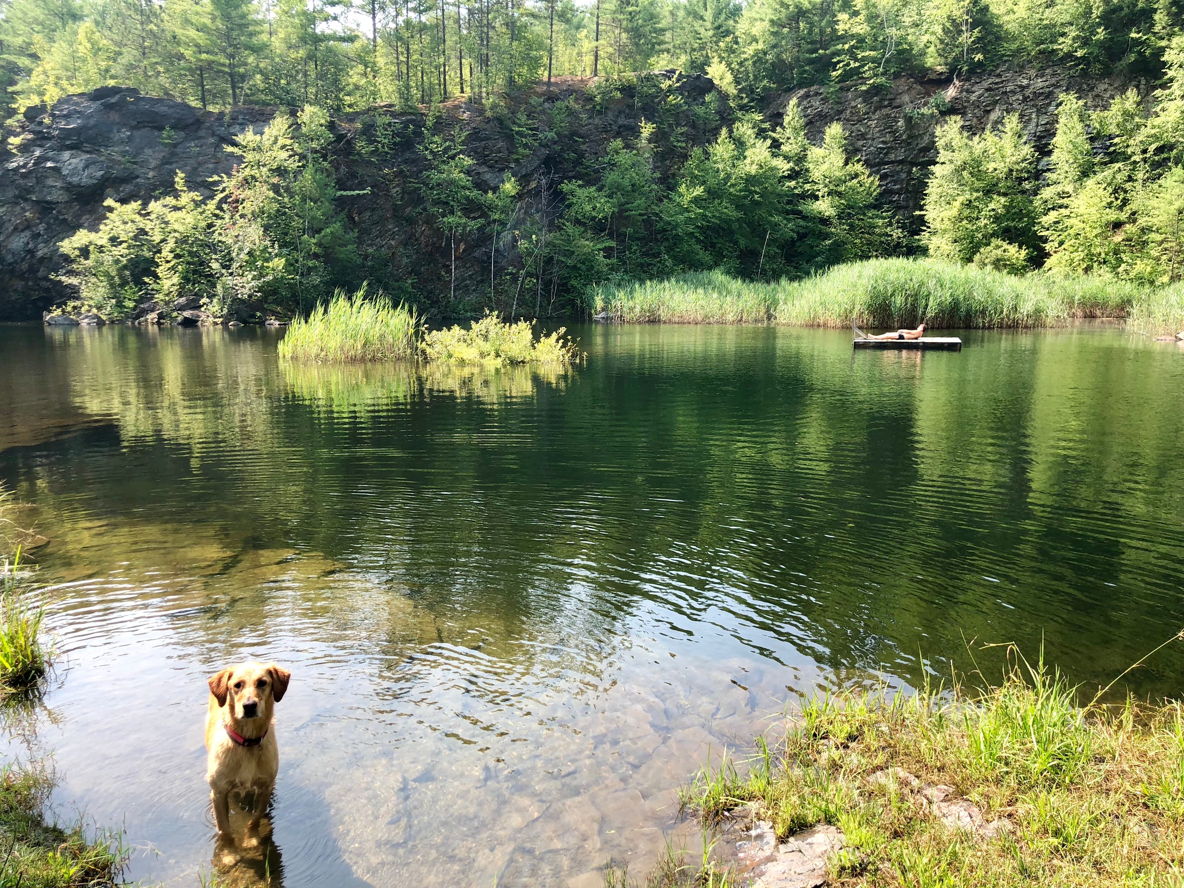 The Quarry is Amazing!! 