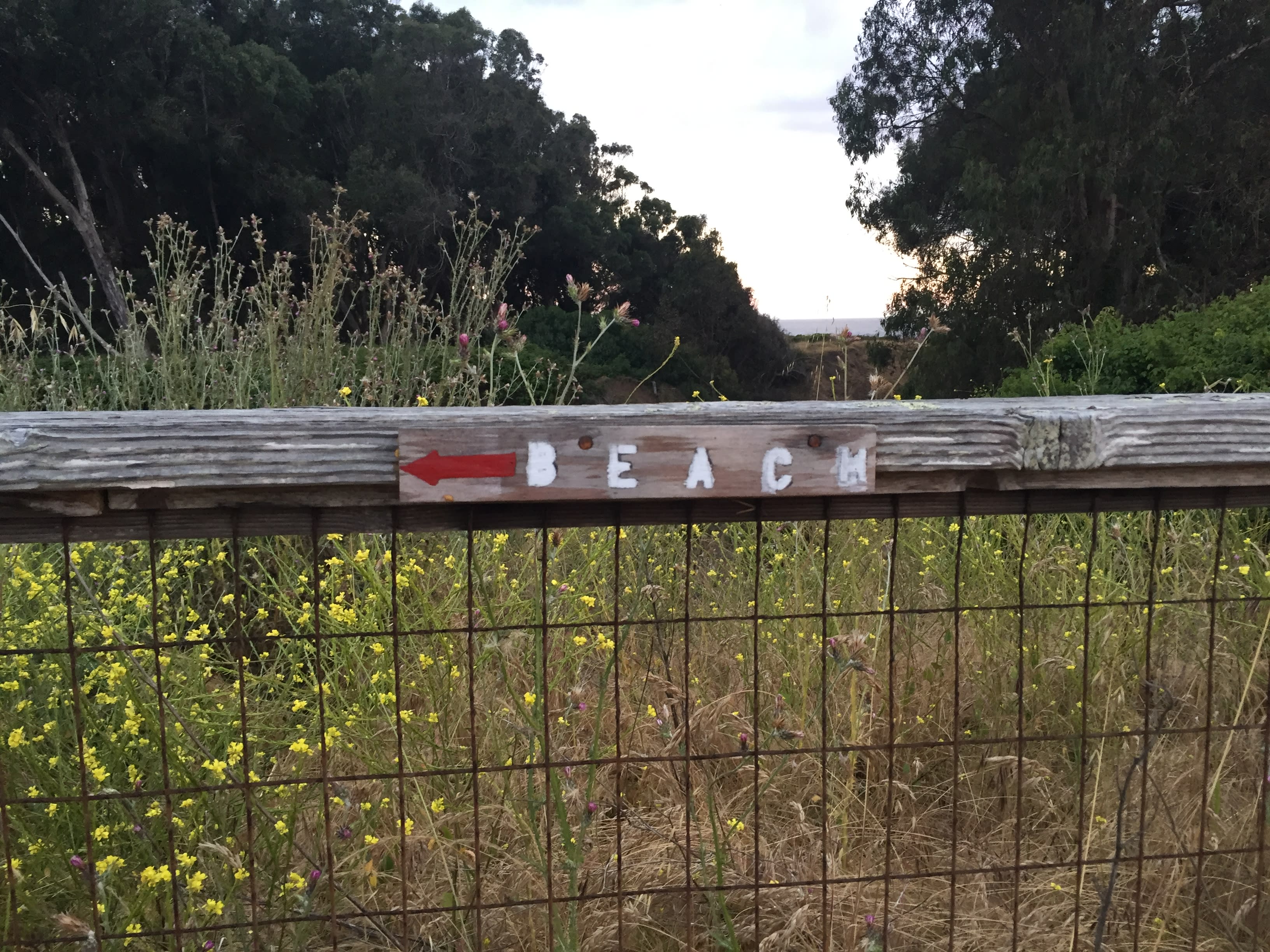 Short trail to the beach from campsites