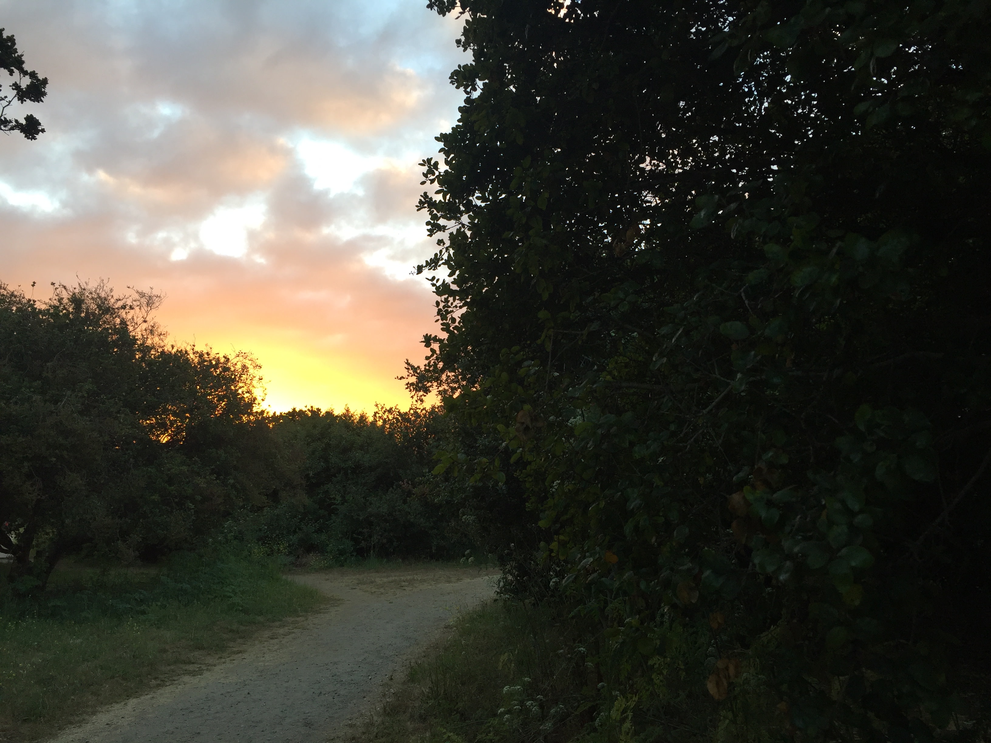 trail thru the campground