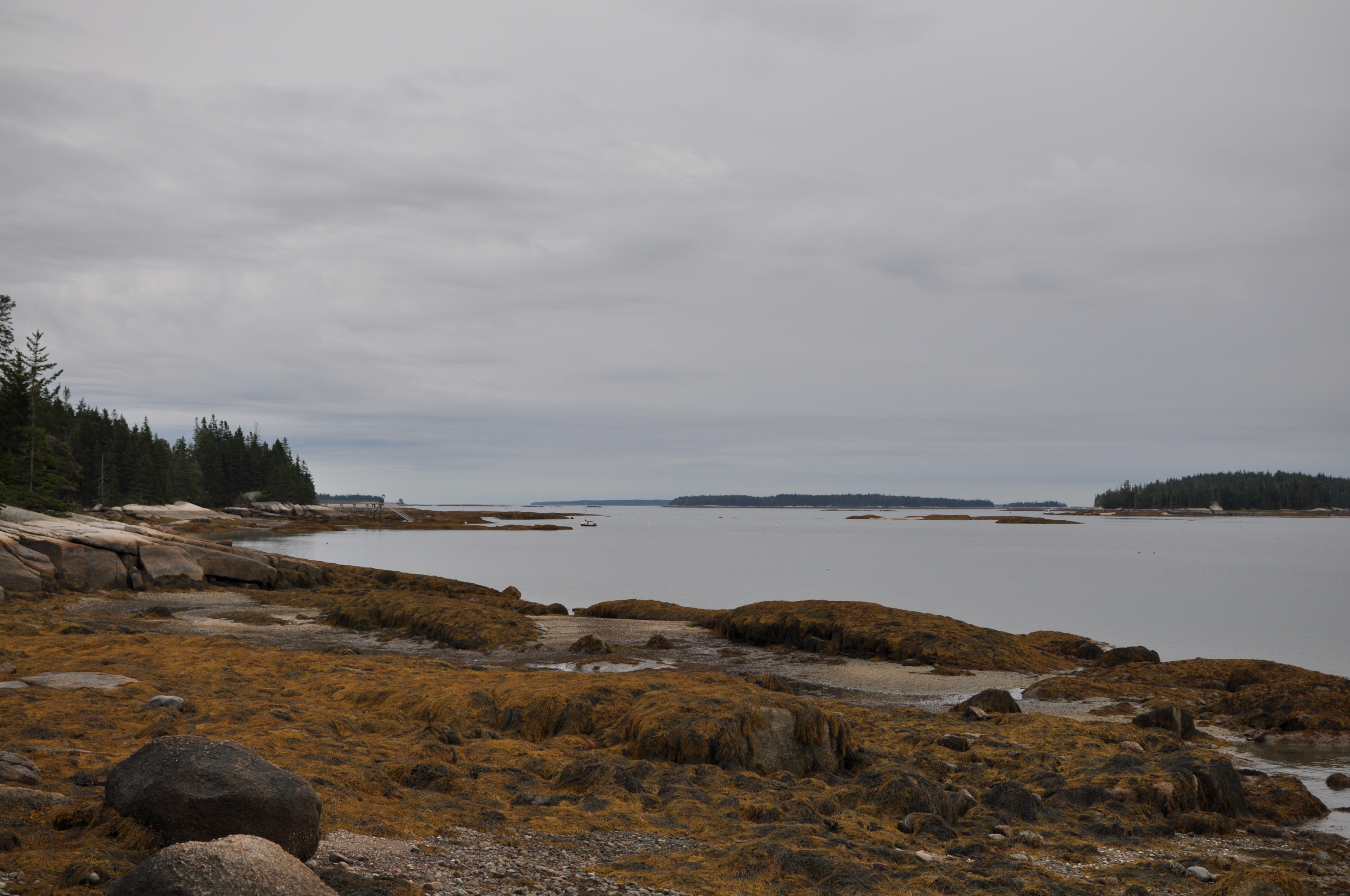 The shoreline at OQOA