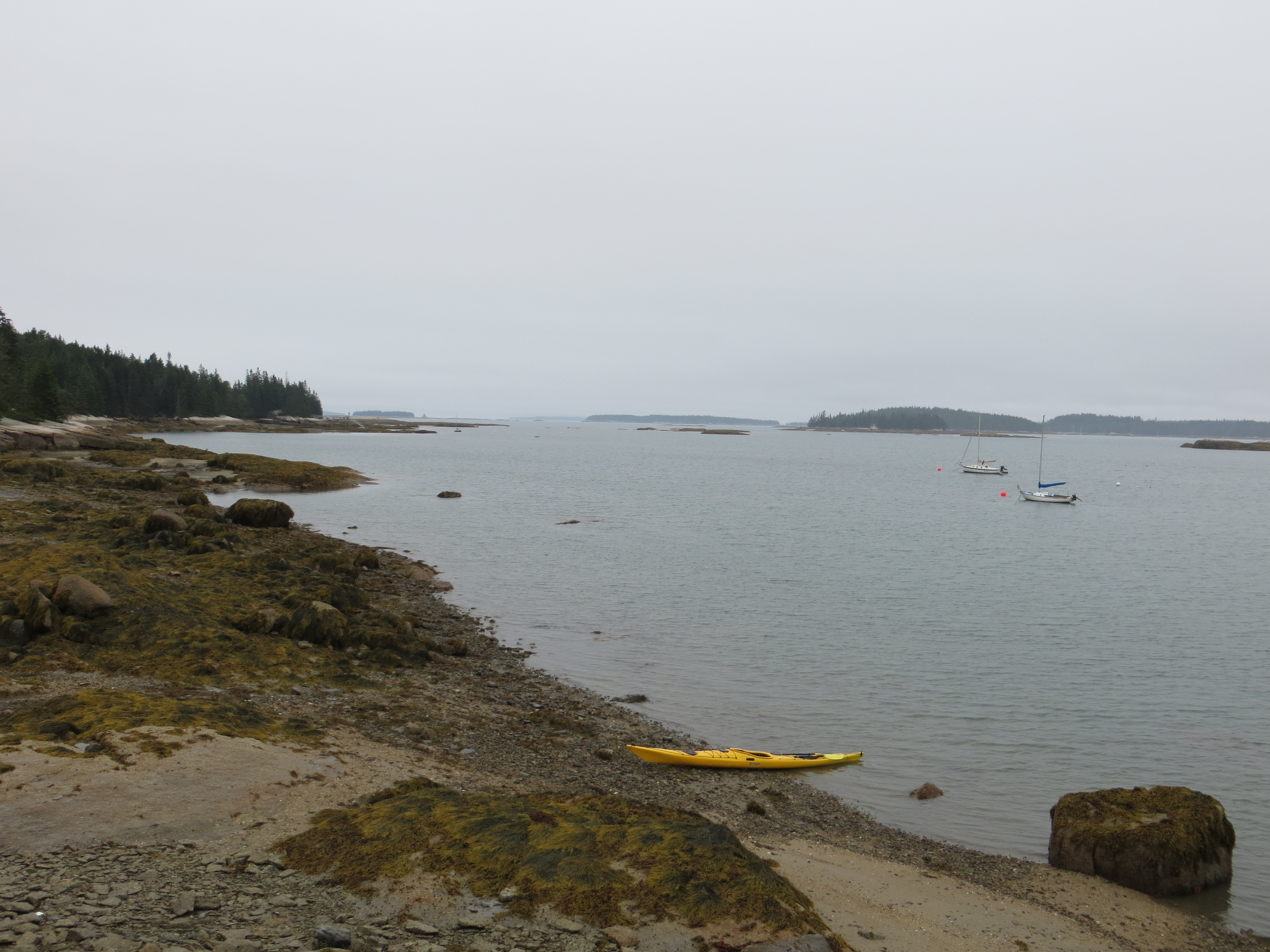 The shoreline at OQOA