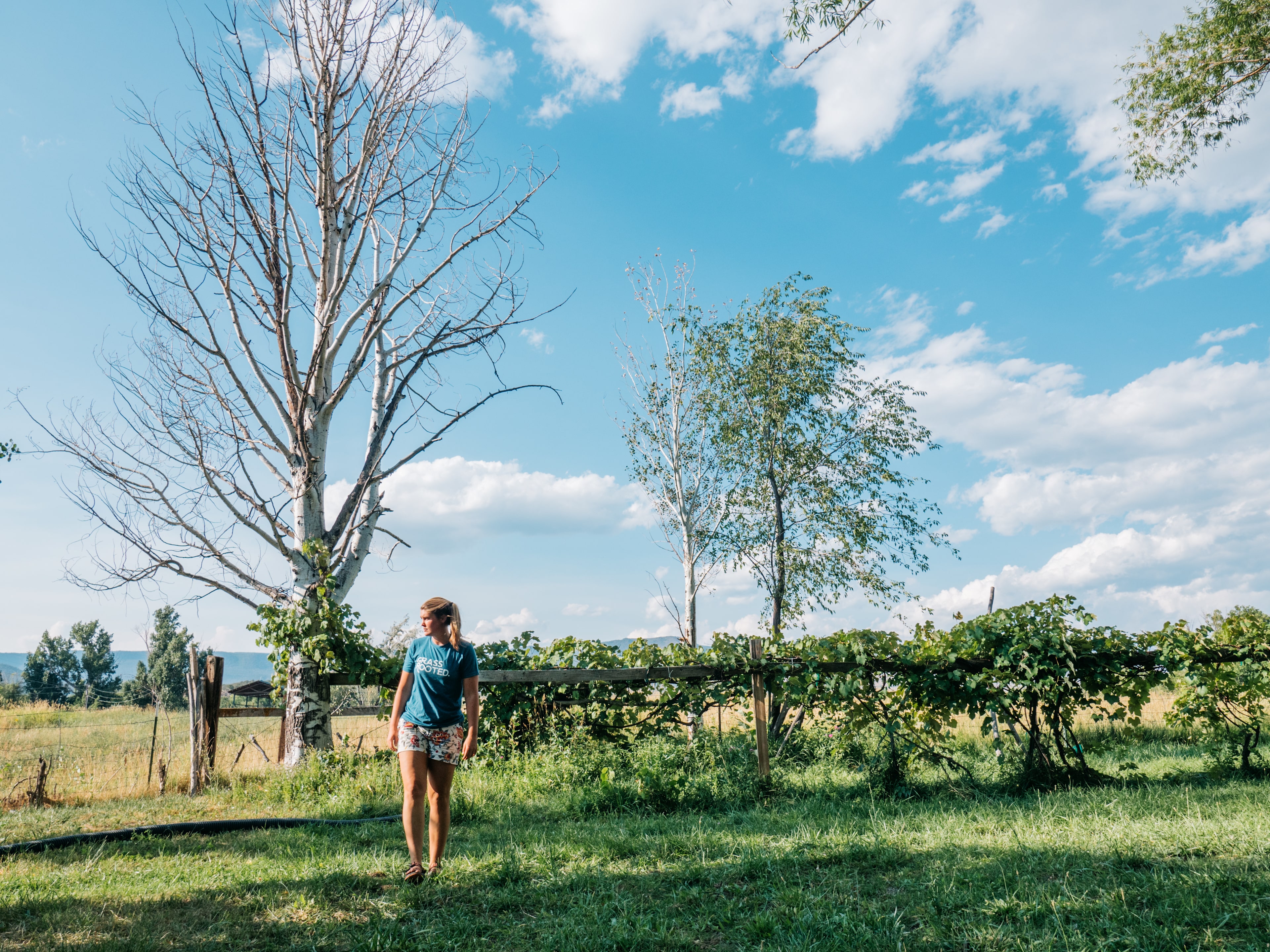 JuNo Farms Glamping