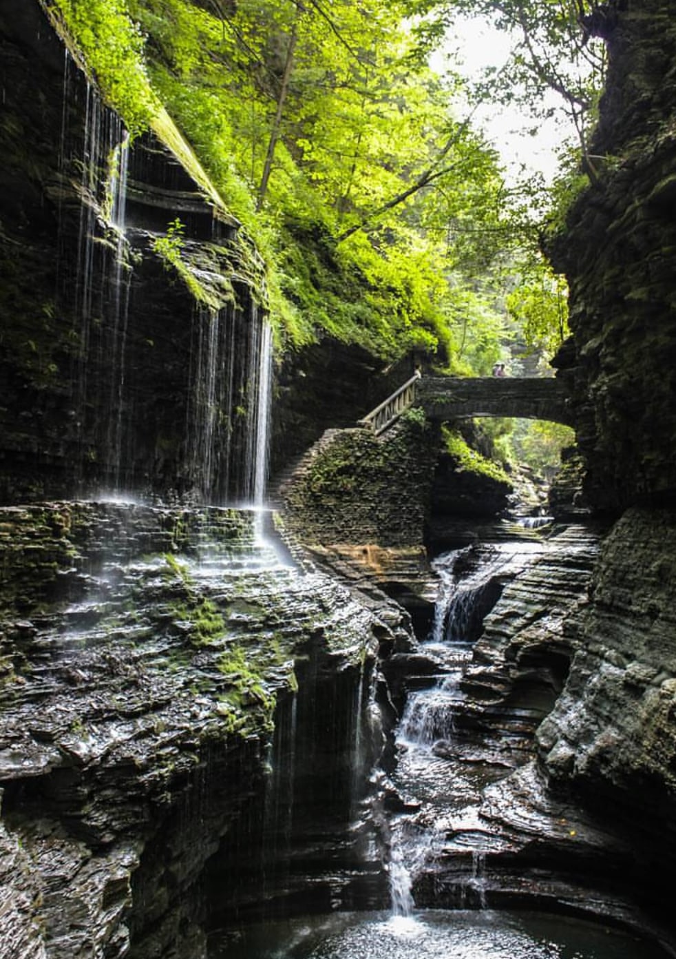 Cayuga Village Campground