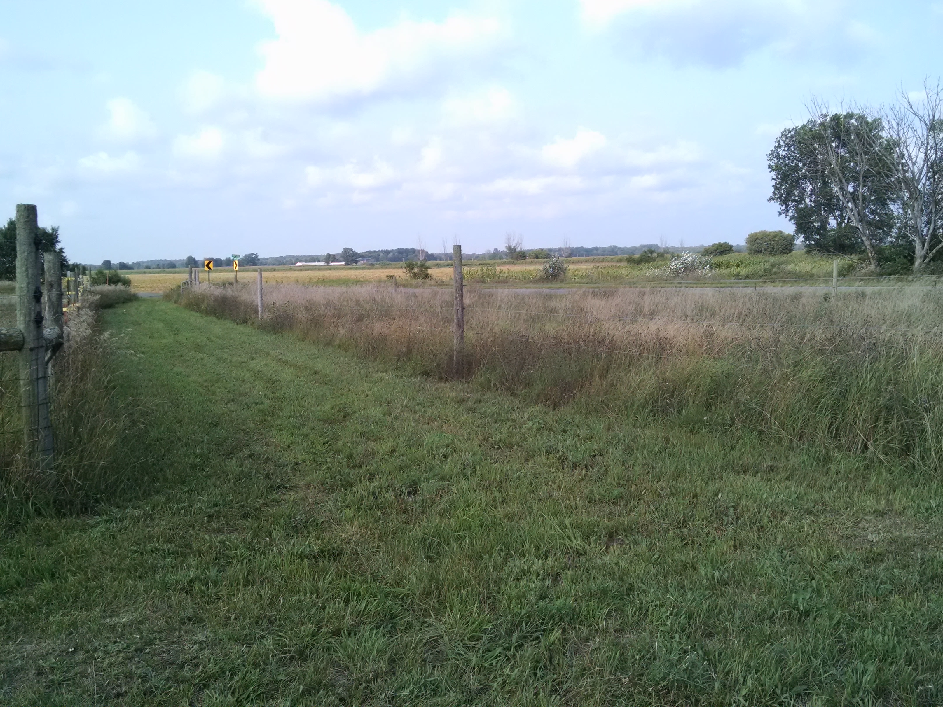 view from site 1