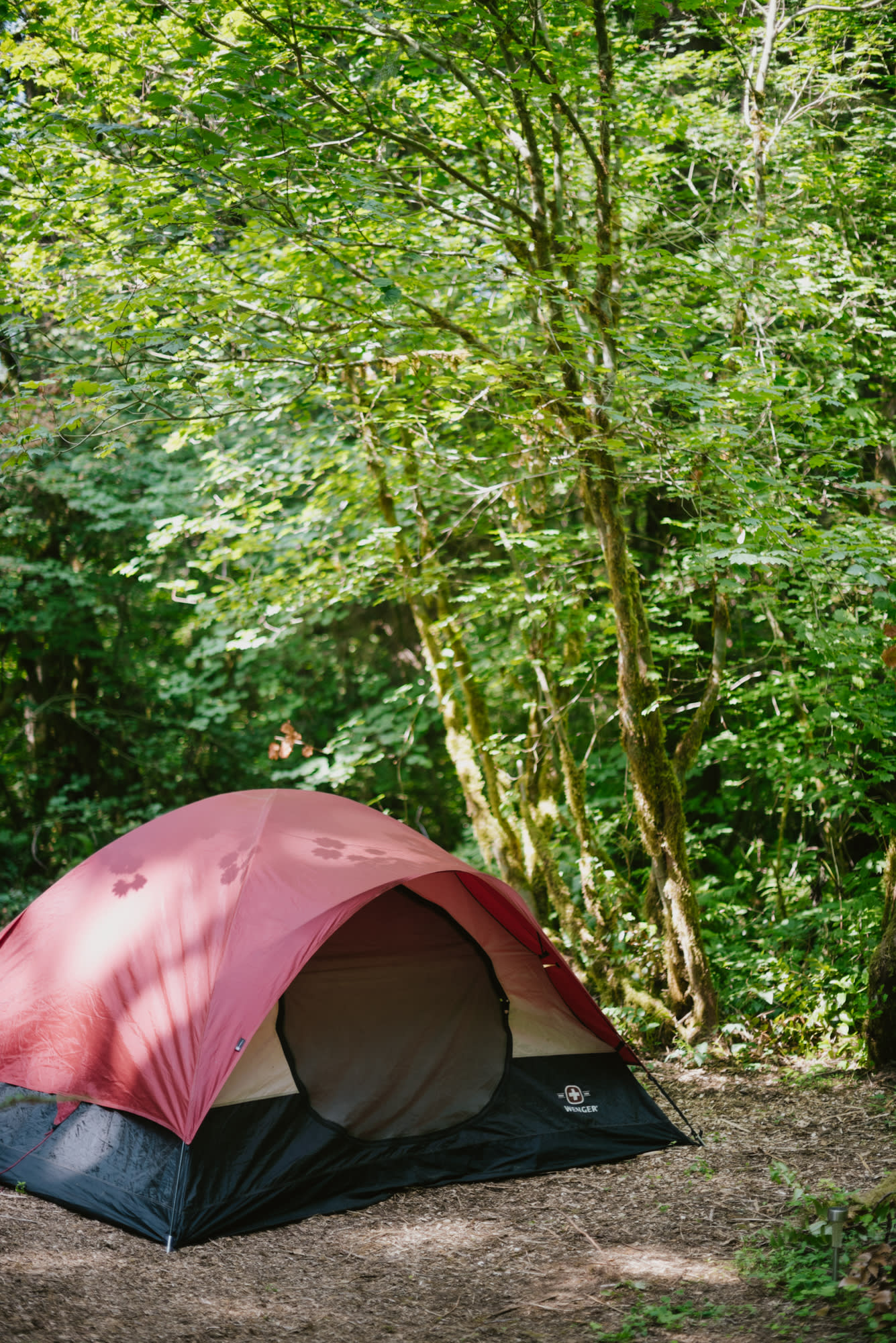 Nestled under the trees. 