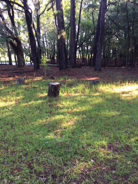 Hanscombe Point Plantation