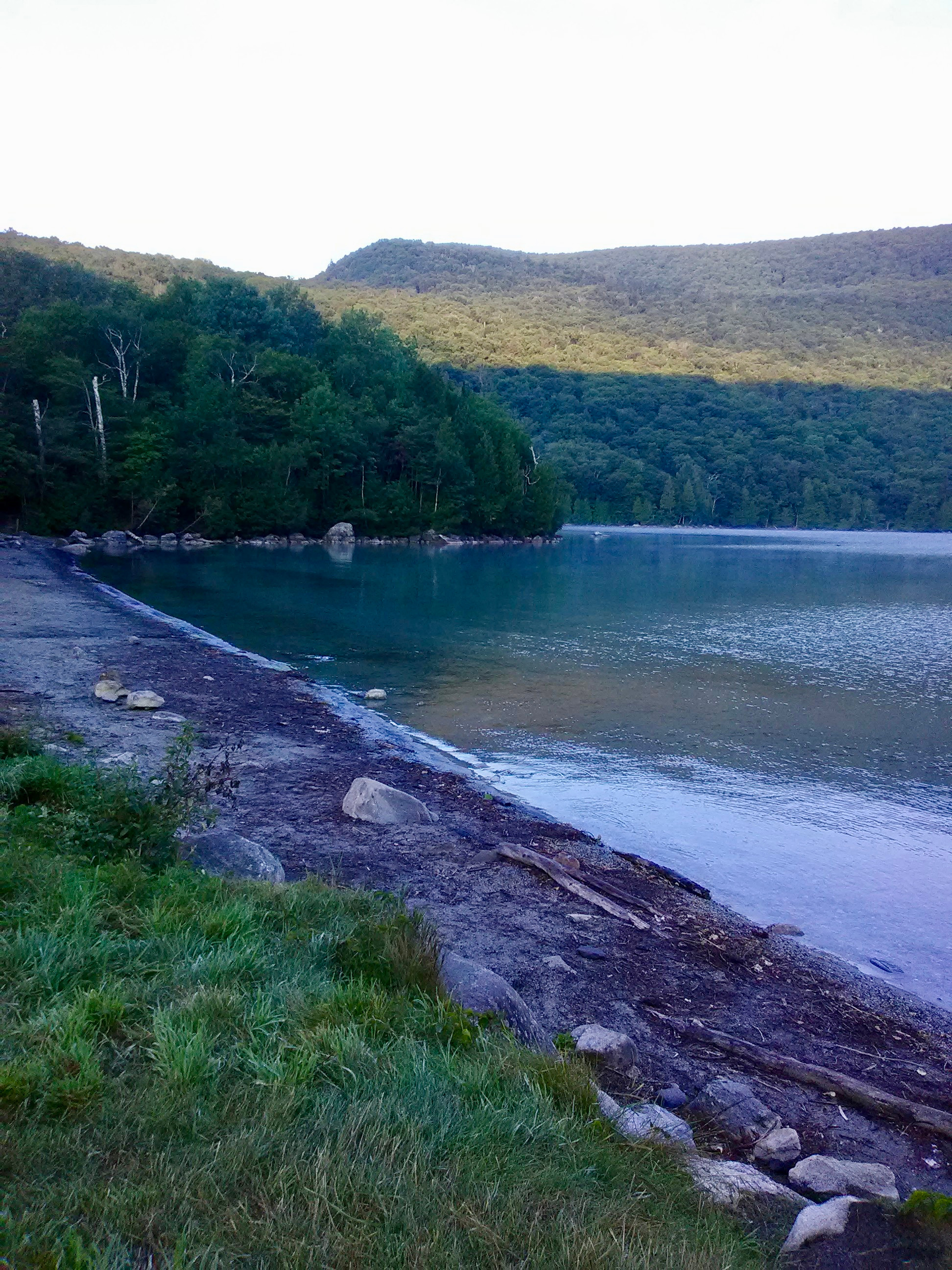 Westmore Forest Cabin