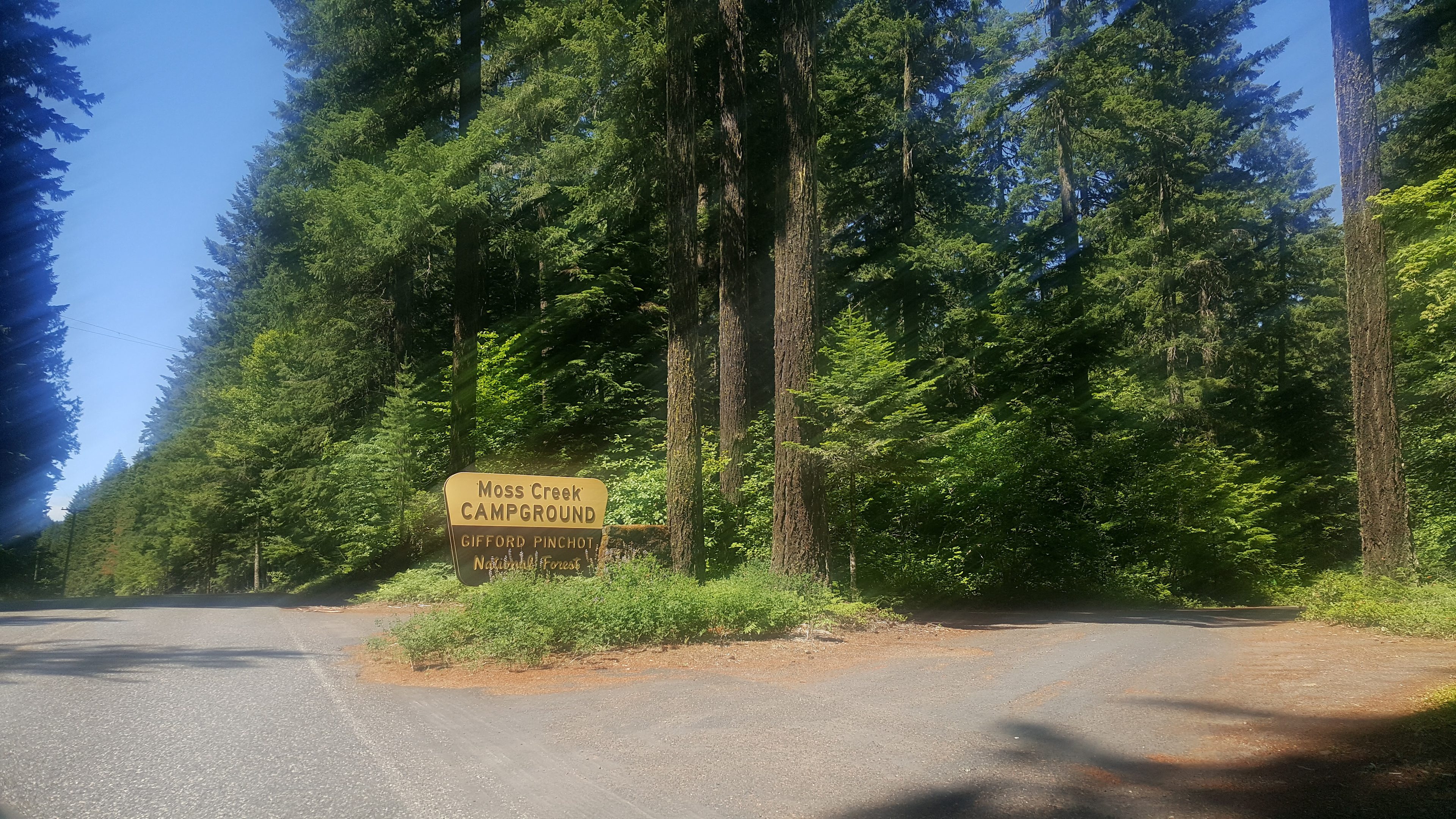 Gifford Pinchot National Forest