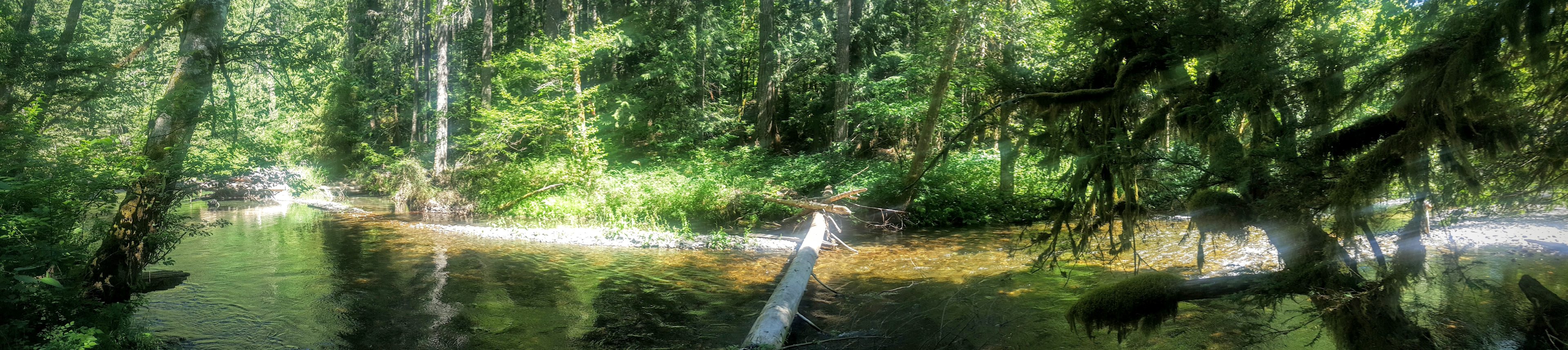 Right outside our campsite