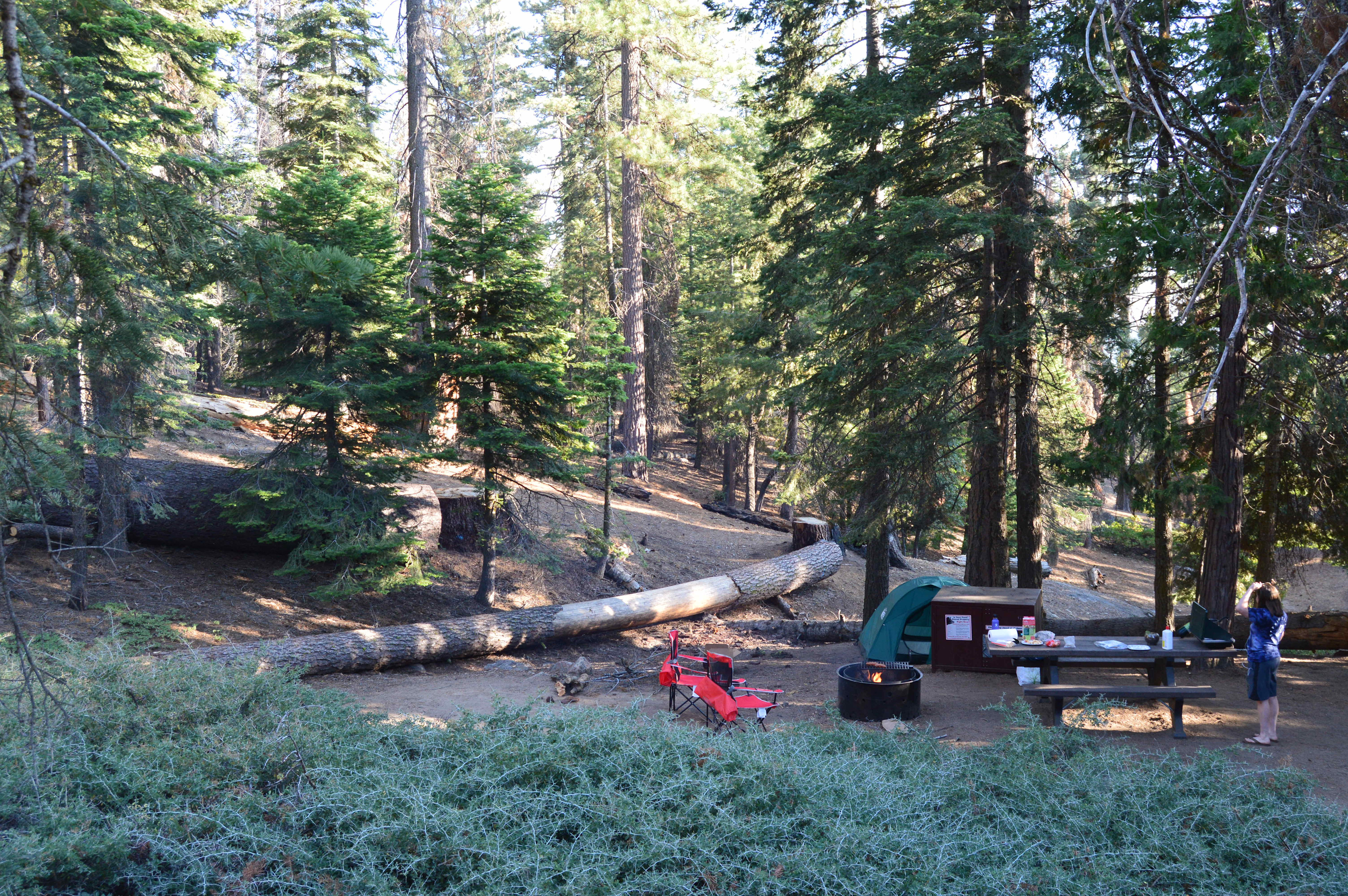 site 115 from the road