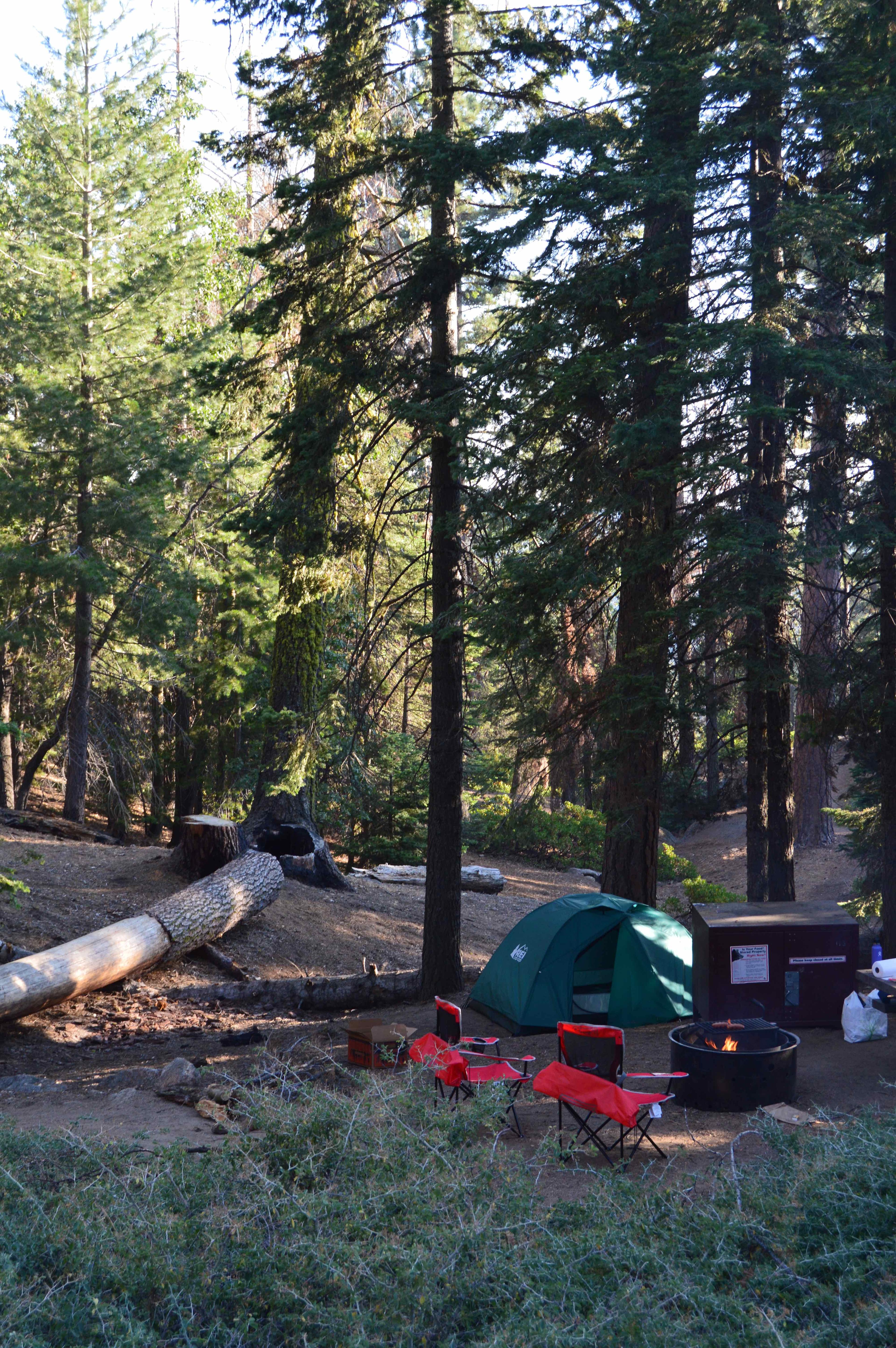 site 115 from the parking spot