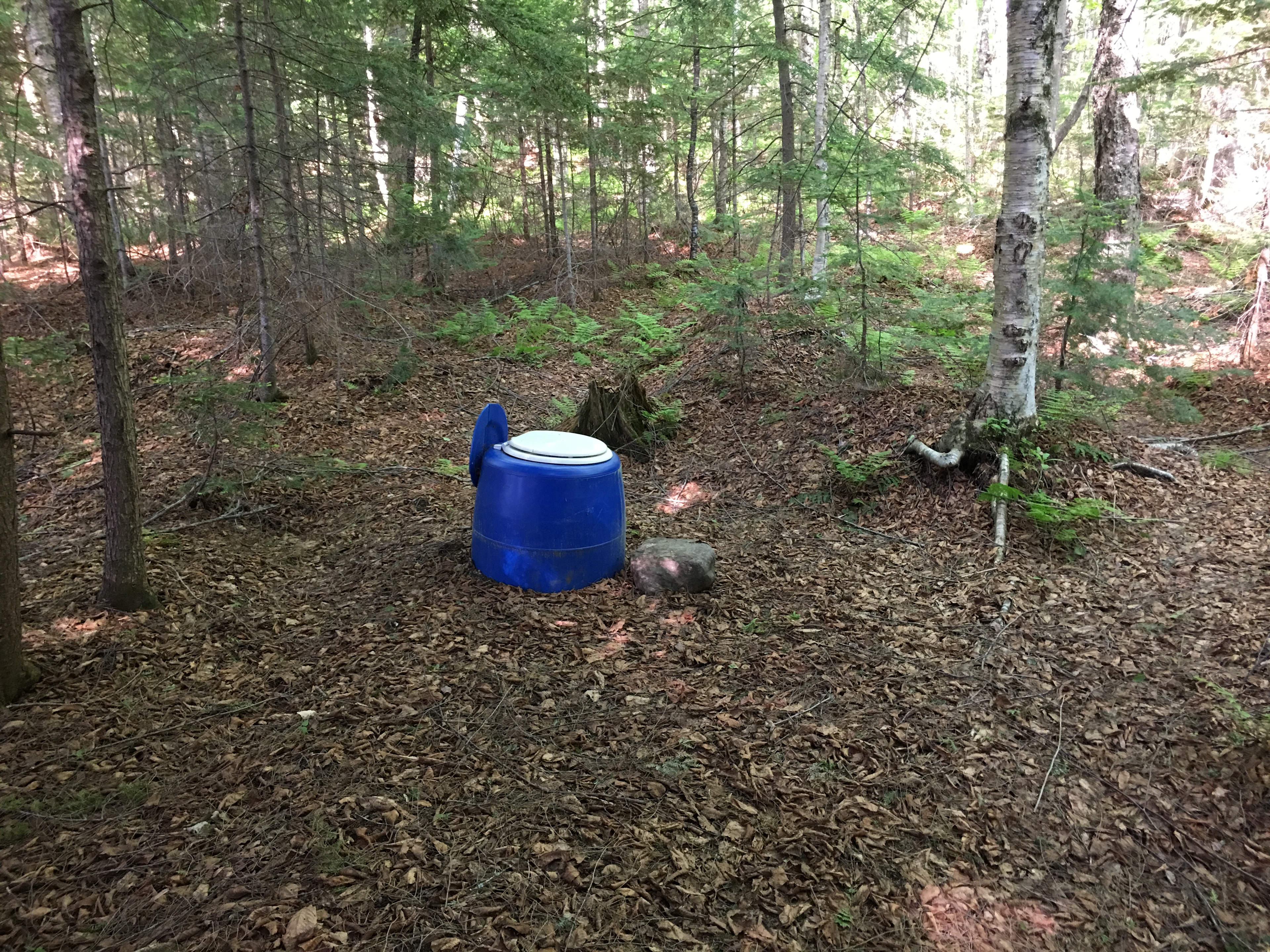 Site 5 latrine, yes outside no walls