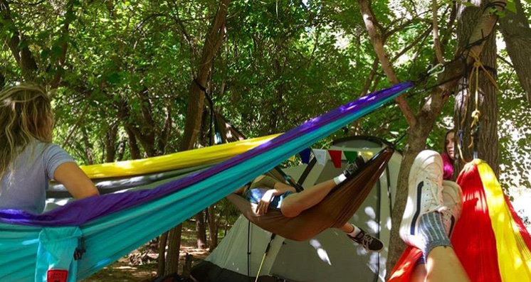 Beware of spiders in the trees!!