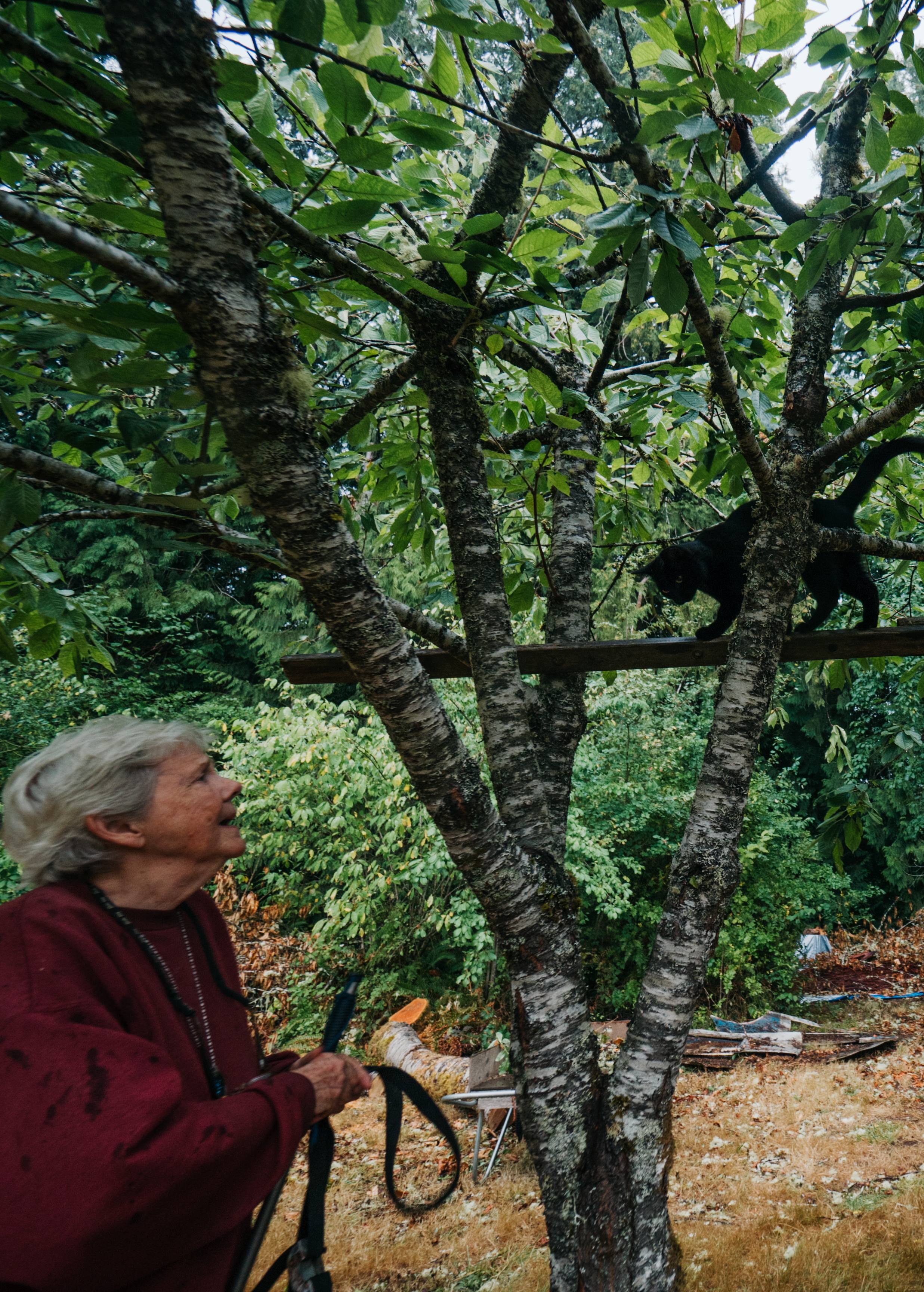 Reiki Ranch RV Camping