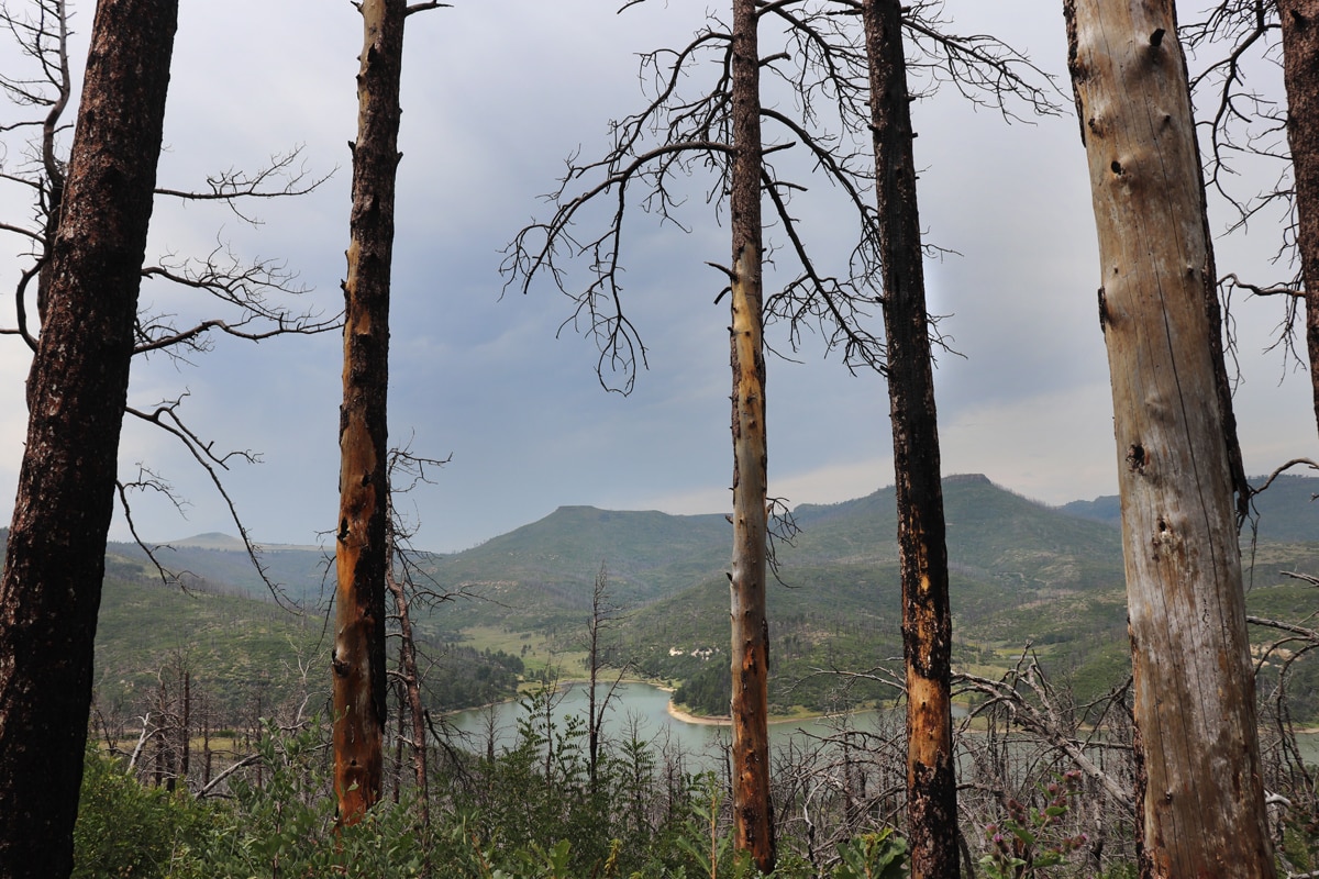 View of Lake Maloya from the Wapiti hiking trail
