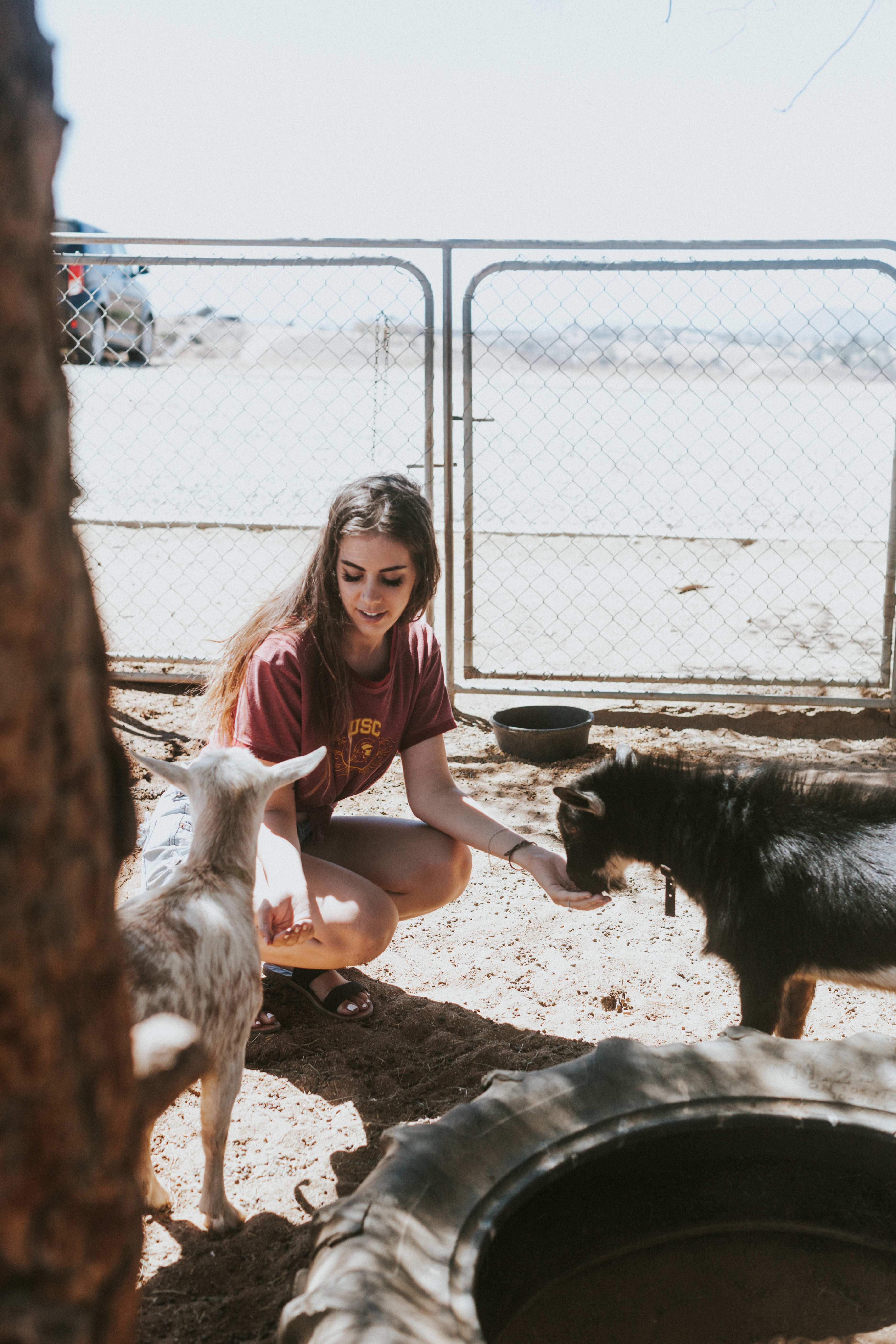 Bierbaum Pepper Farm w/Goats!