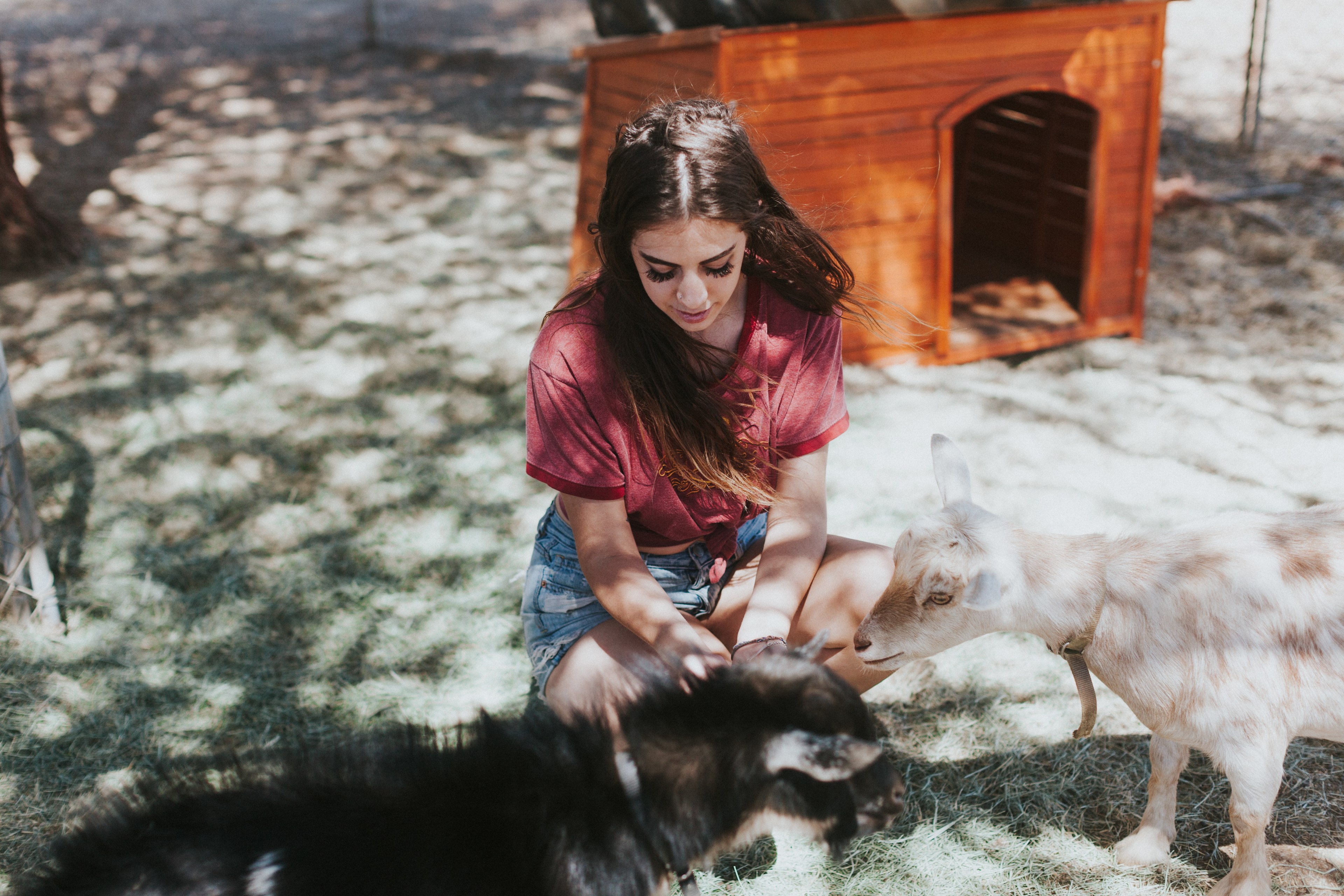 Bierbaum Pepper Farm w/Goats!