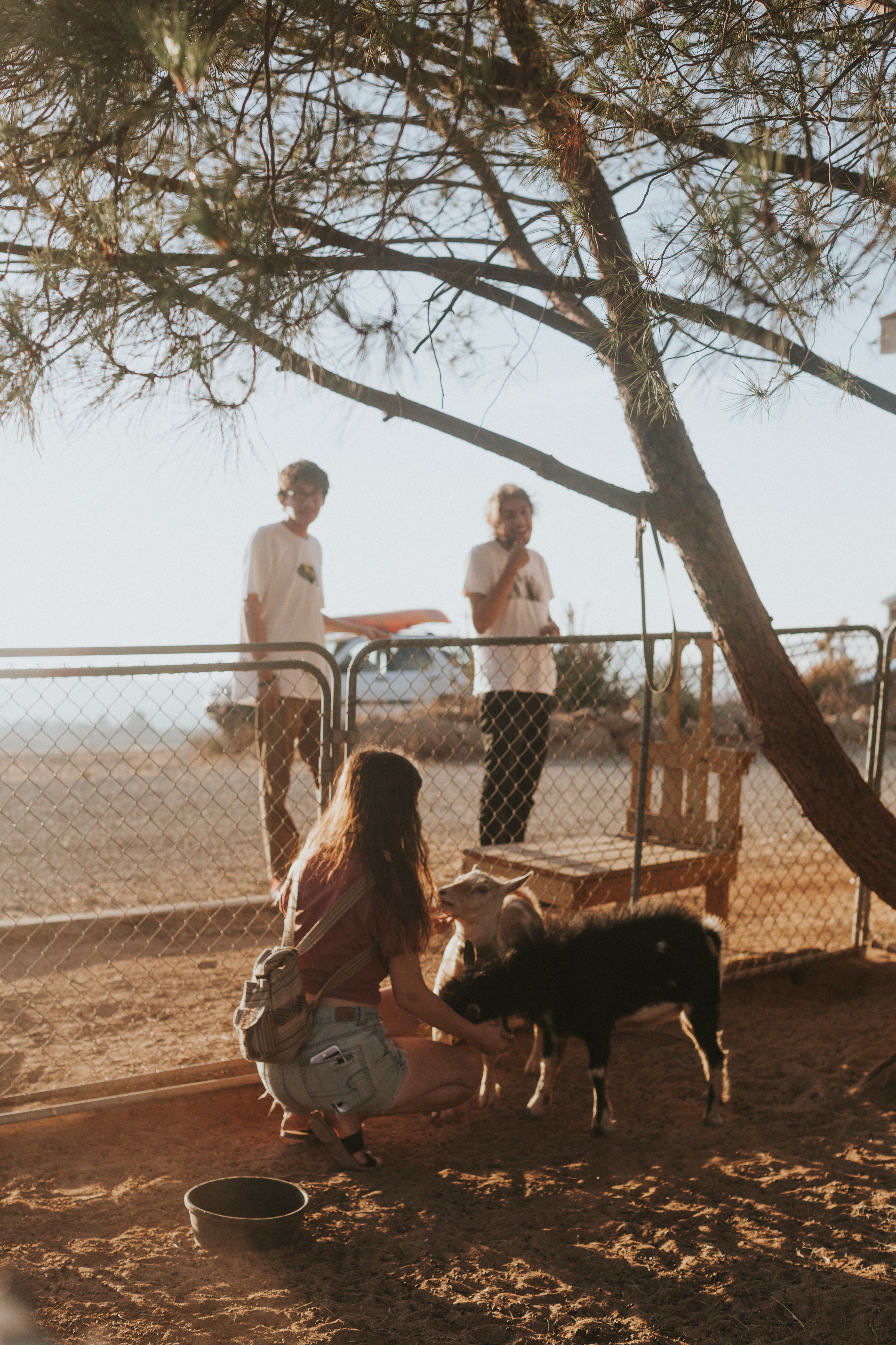 Bierbaum Pepper Farm w/Goats!