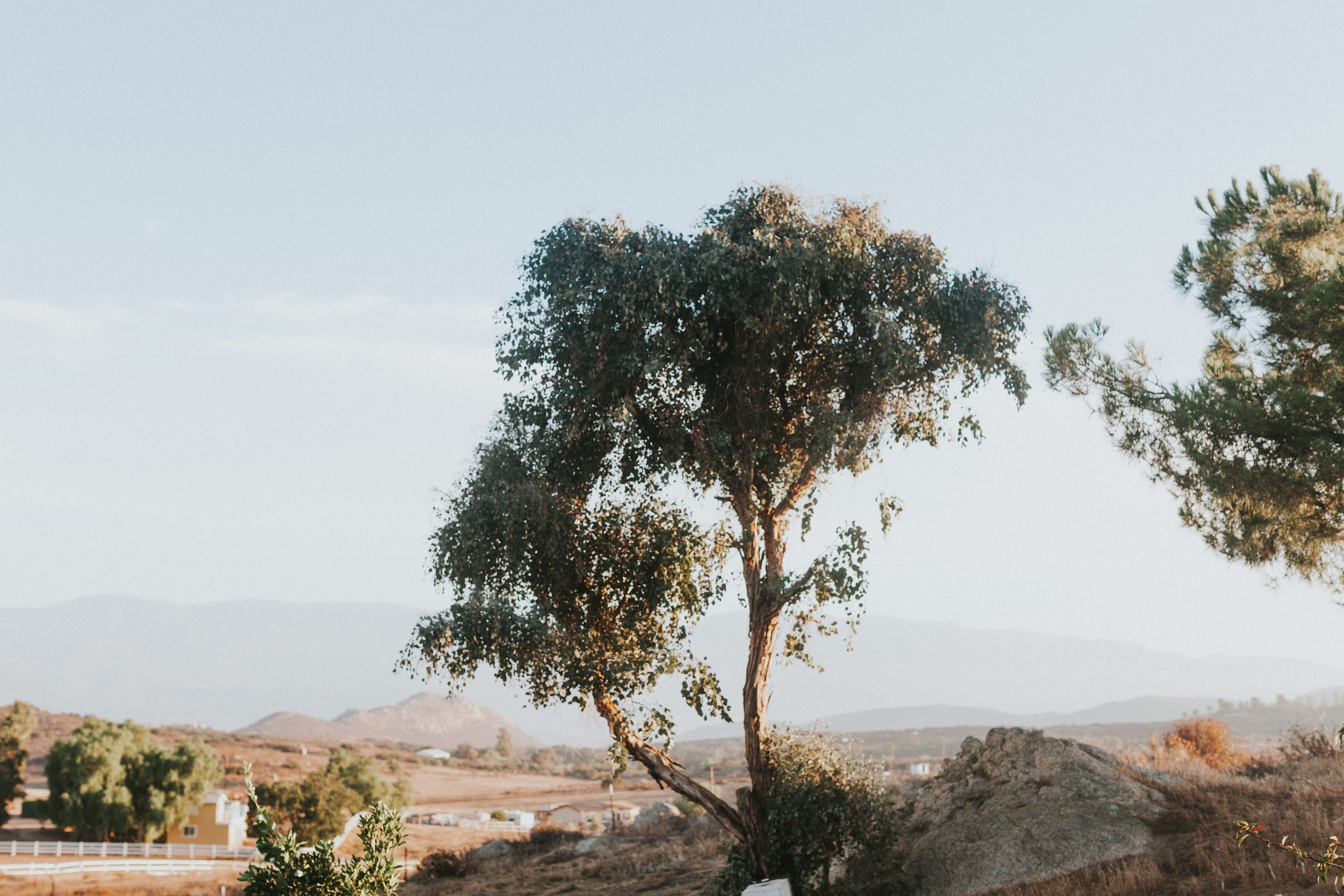 Bierbaum Pepper Farm w/Goats!