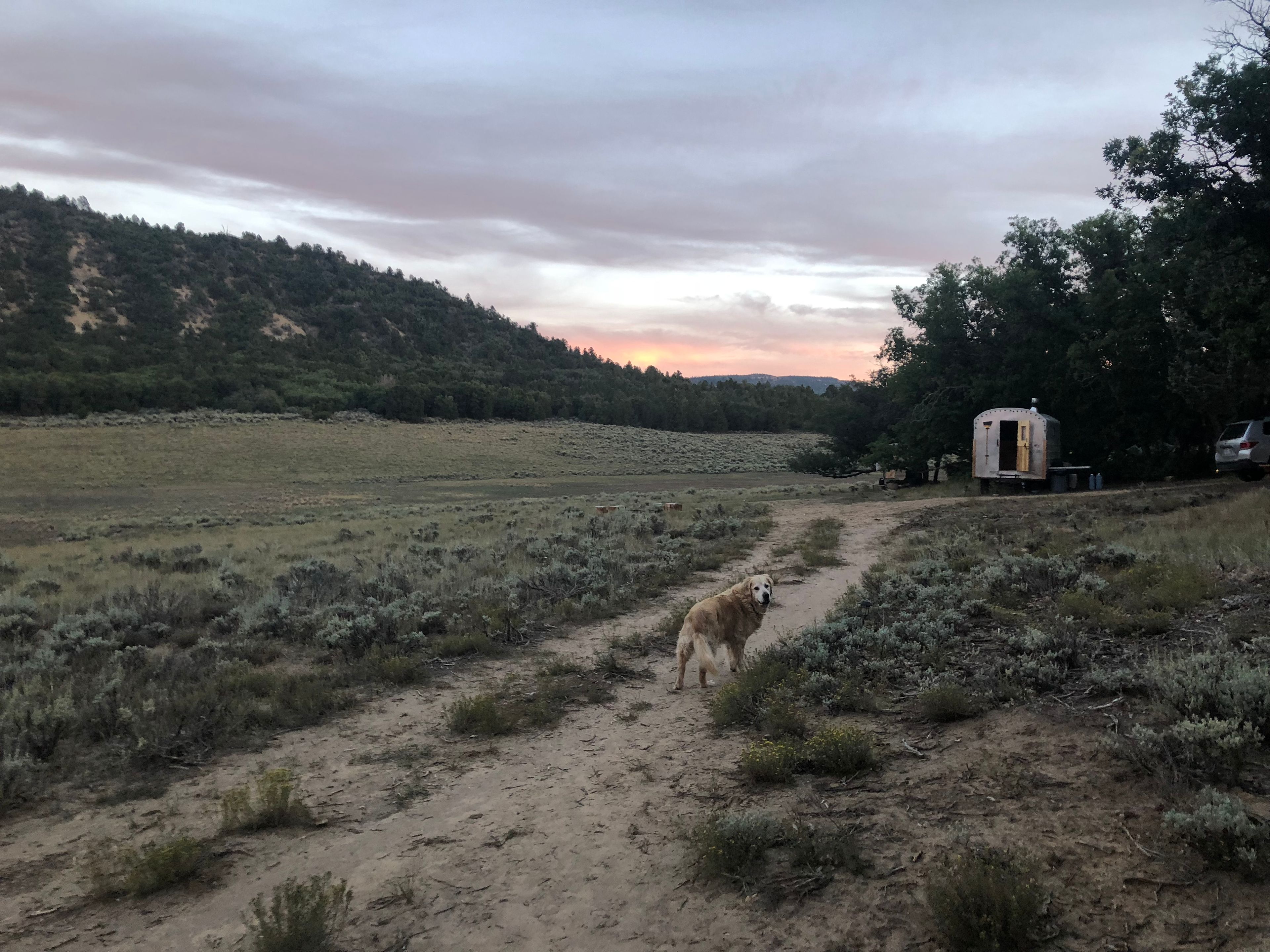 Zion Backcountry Sheep Camps