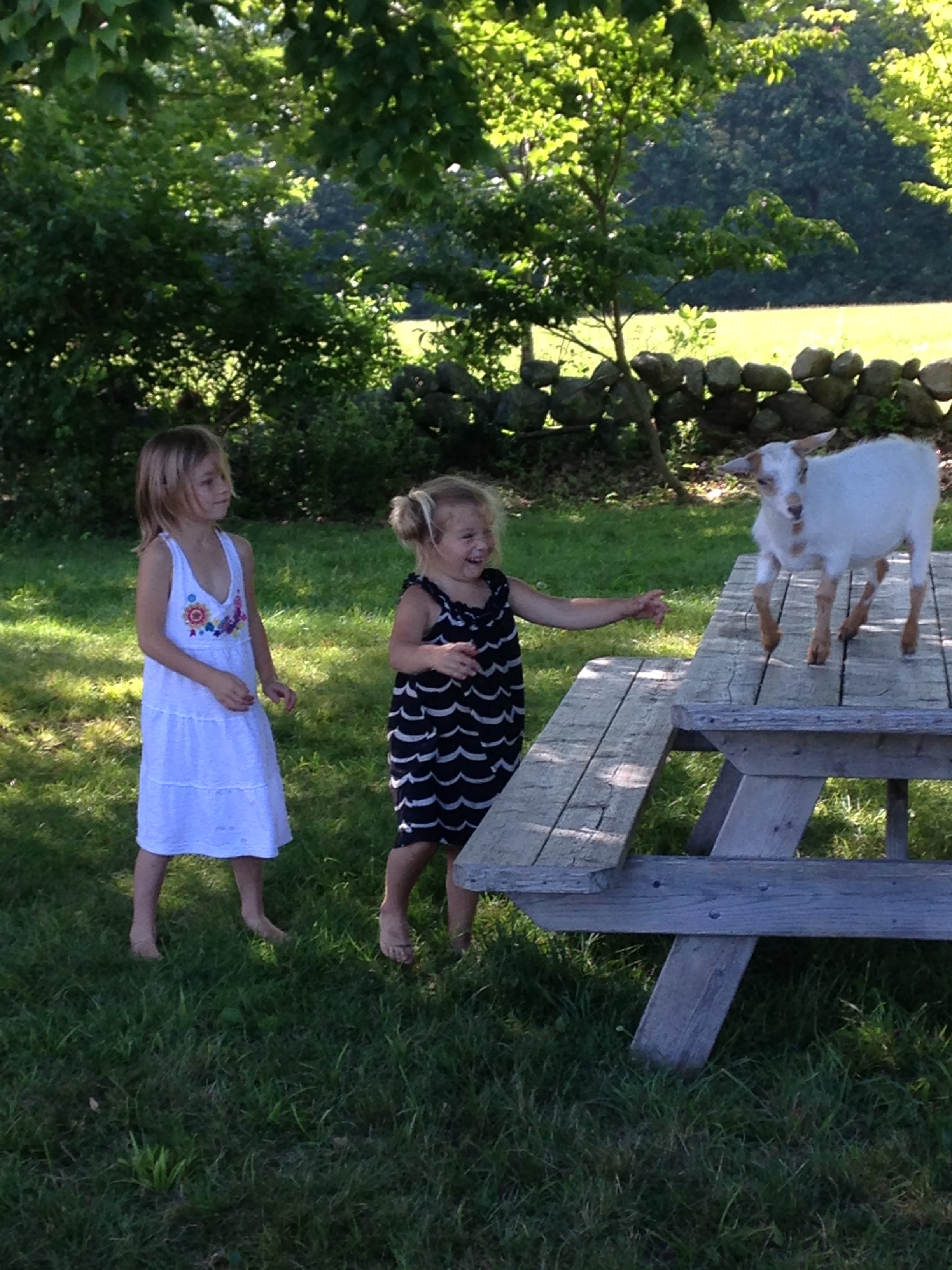 Browns Ridge Family Farm!