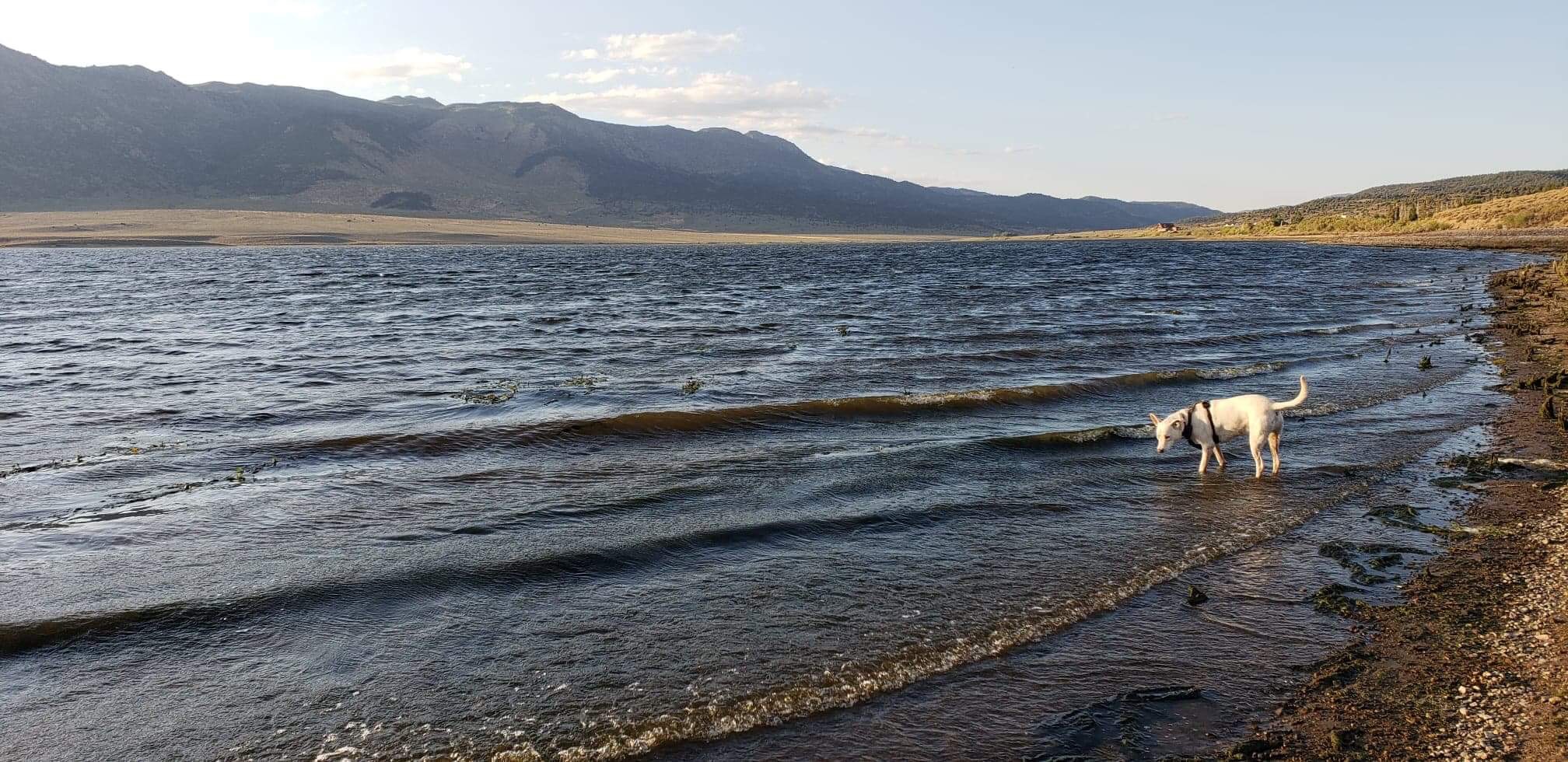 Playing on the beach