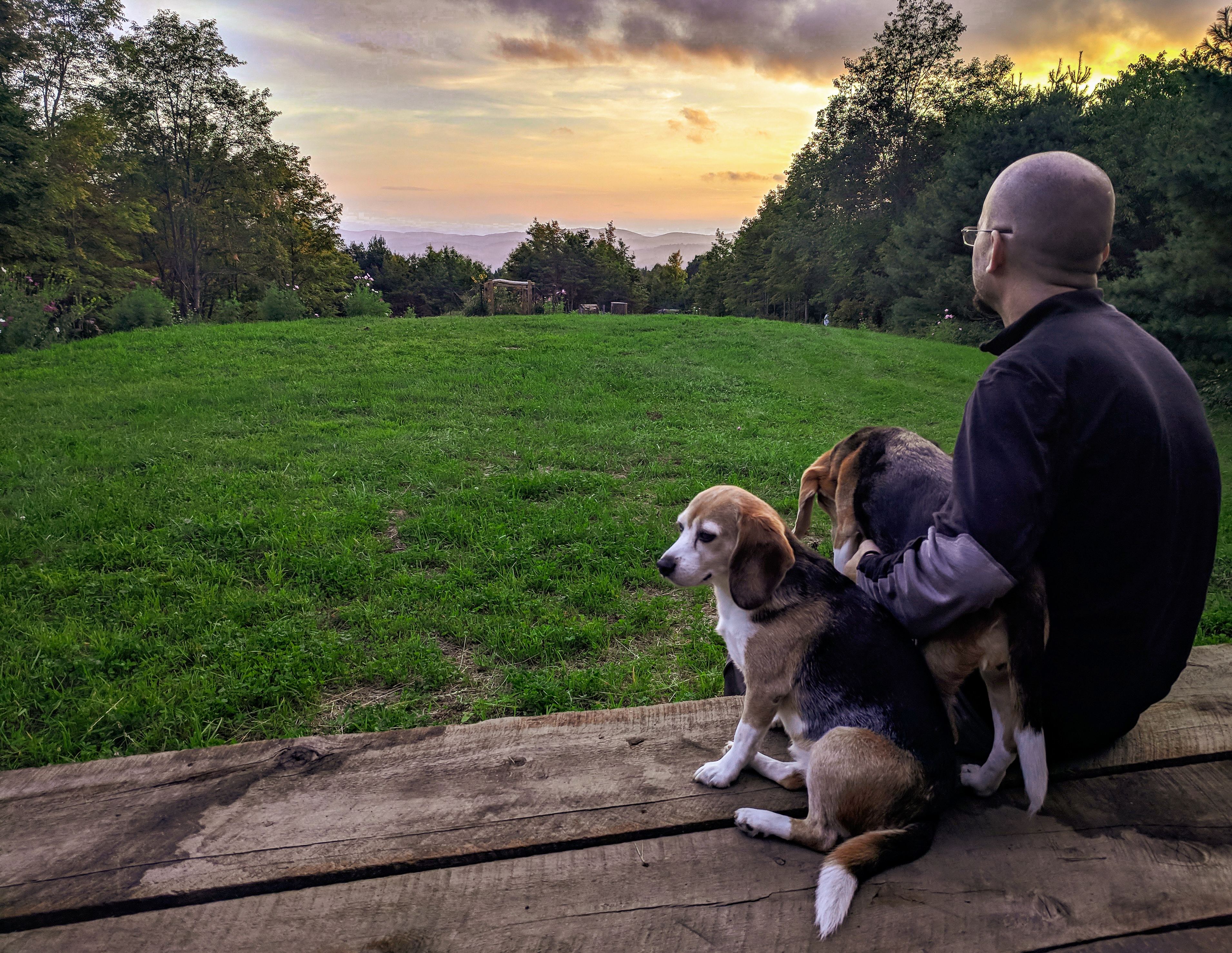 There is a large wooden platform at the back of the common area. Perfect for a tent, or hanging out for stargazing, sunrise and sunset views.