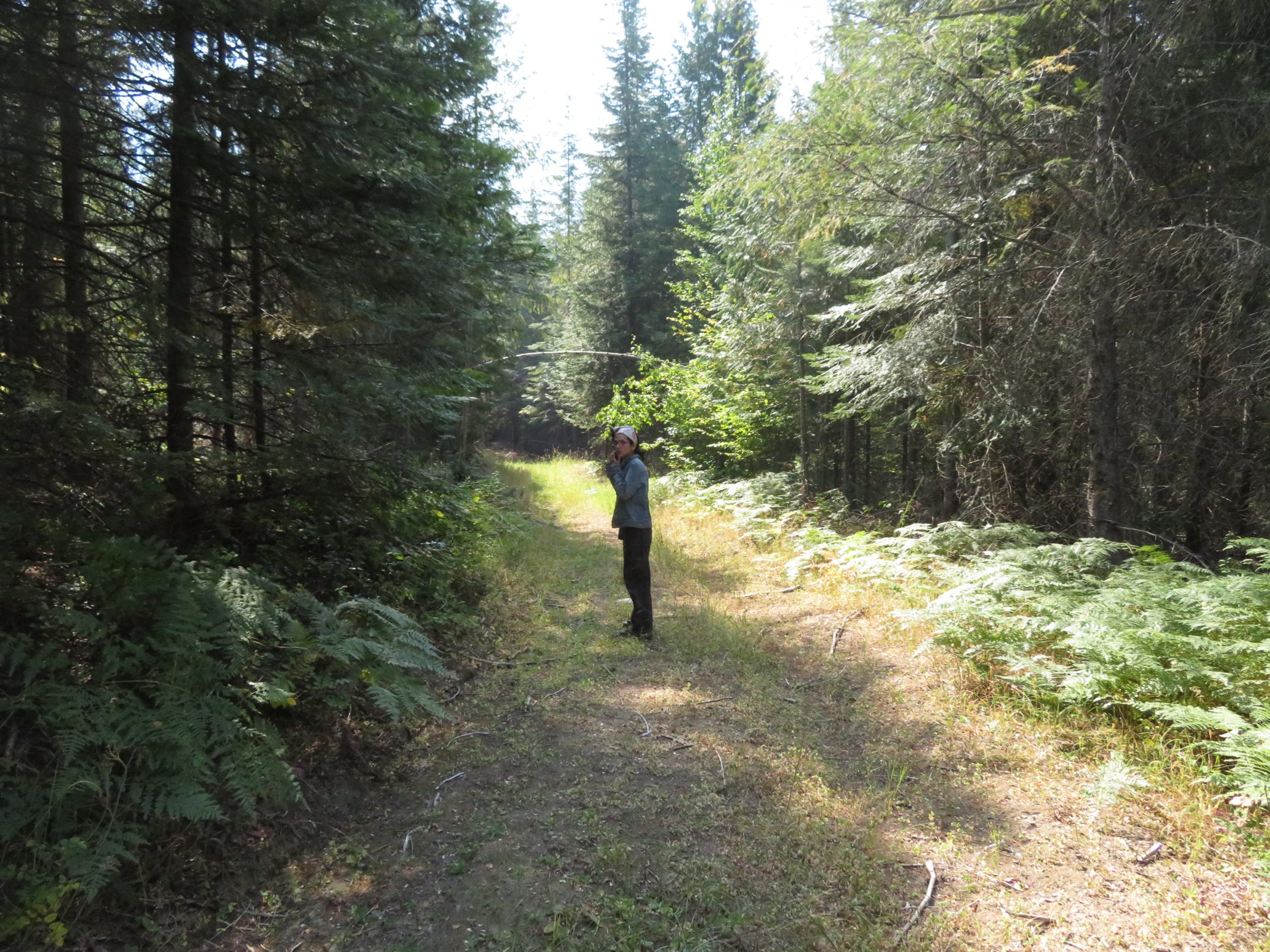 The road to the back of the property is great for an easy stroll or a drive, with many smaller trails leading off of it.