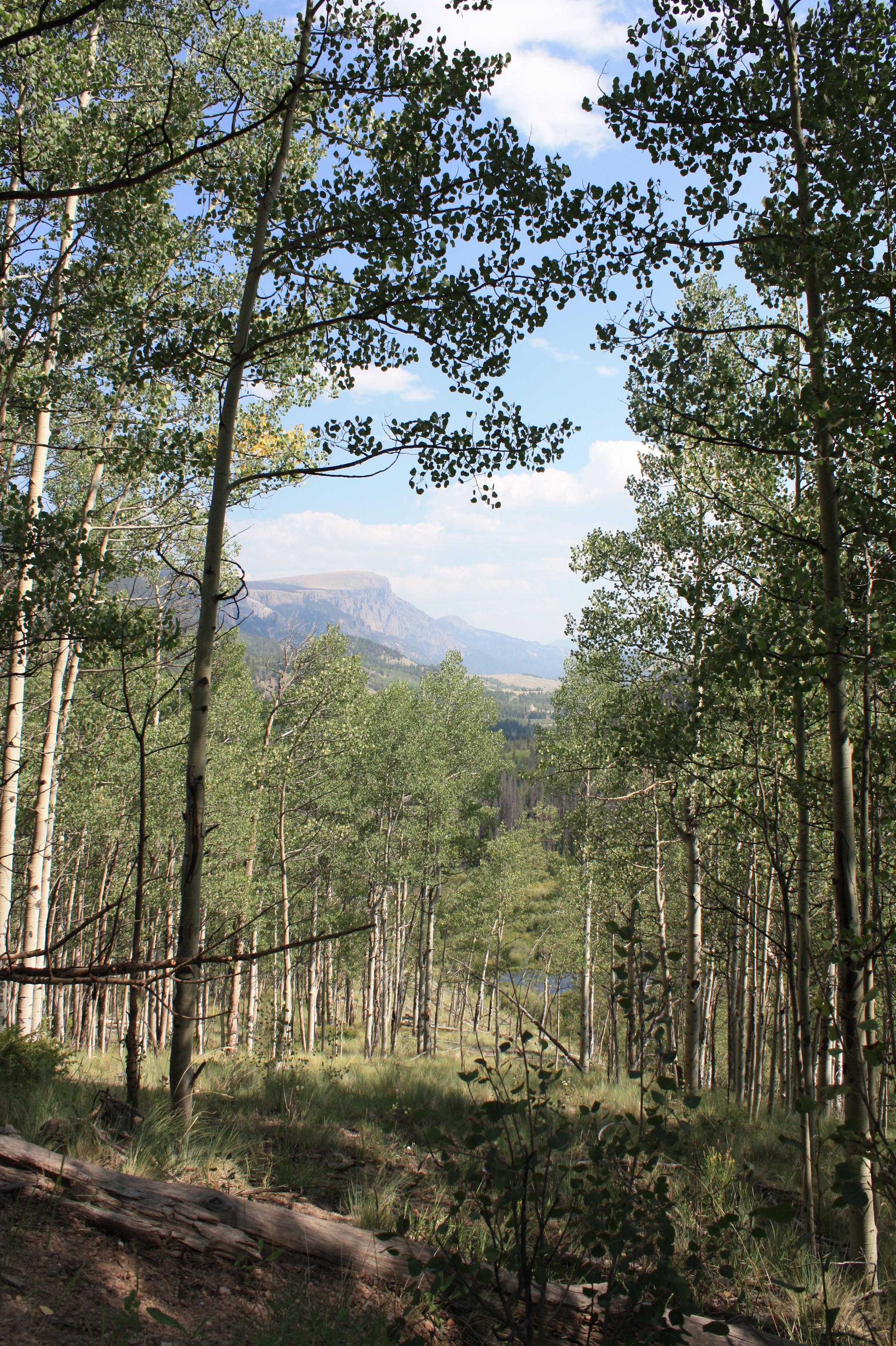 North Clear Creek Campground