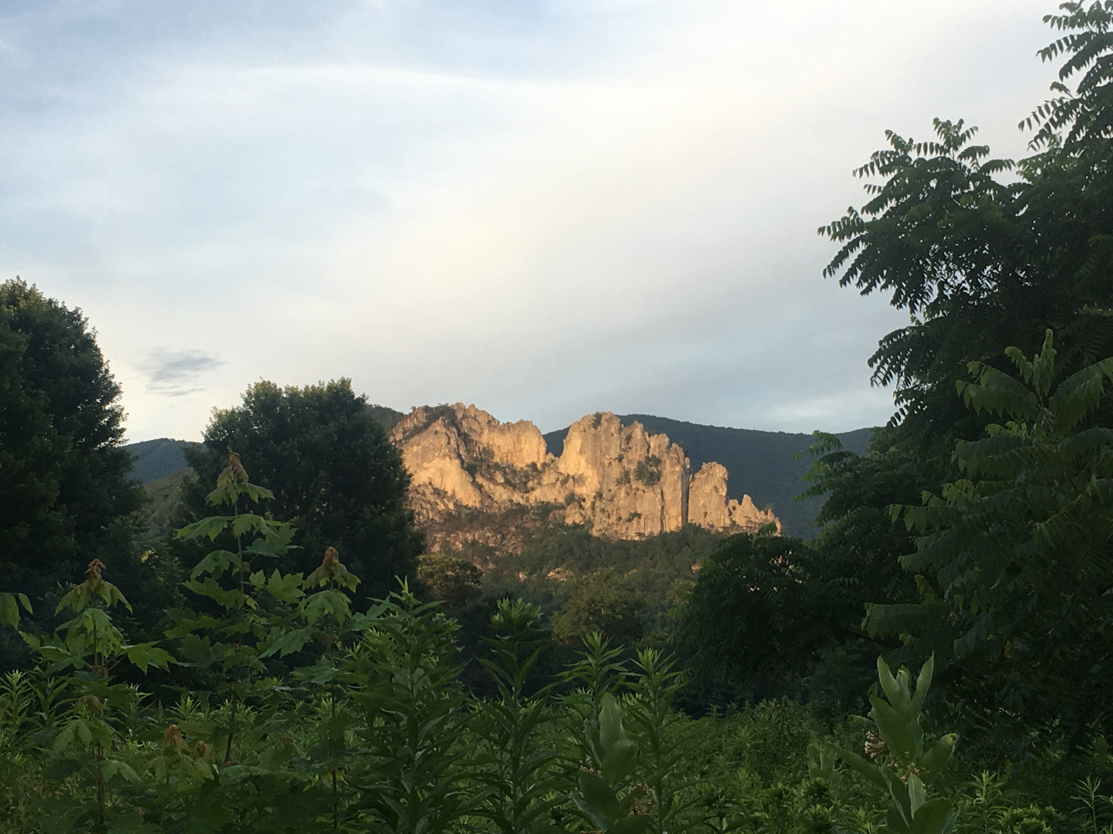 Seneca Shadows Campground