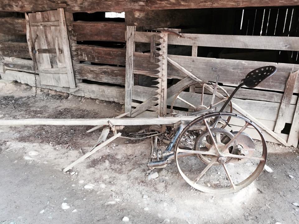 Cades Cove Group Campground