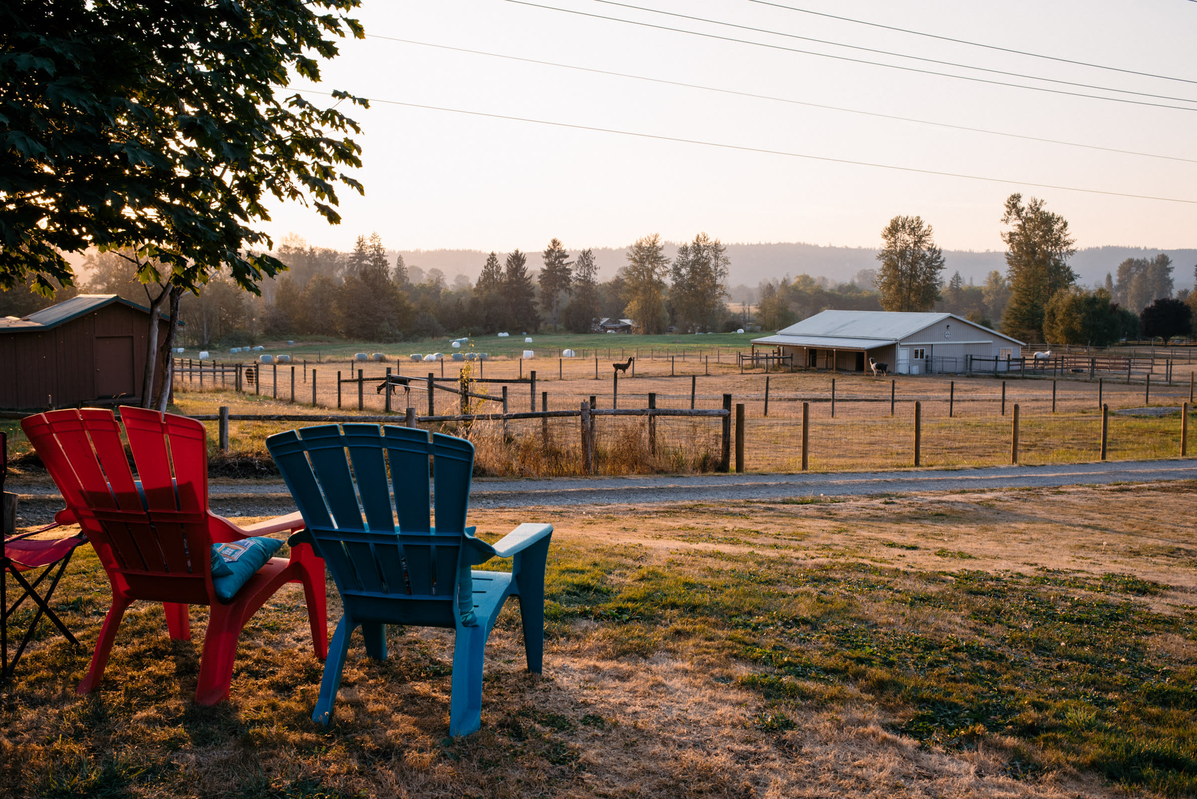 Overlooking some of the nearby farms. Alpaca roaming around.