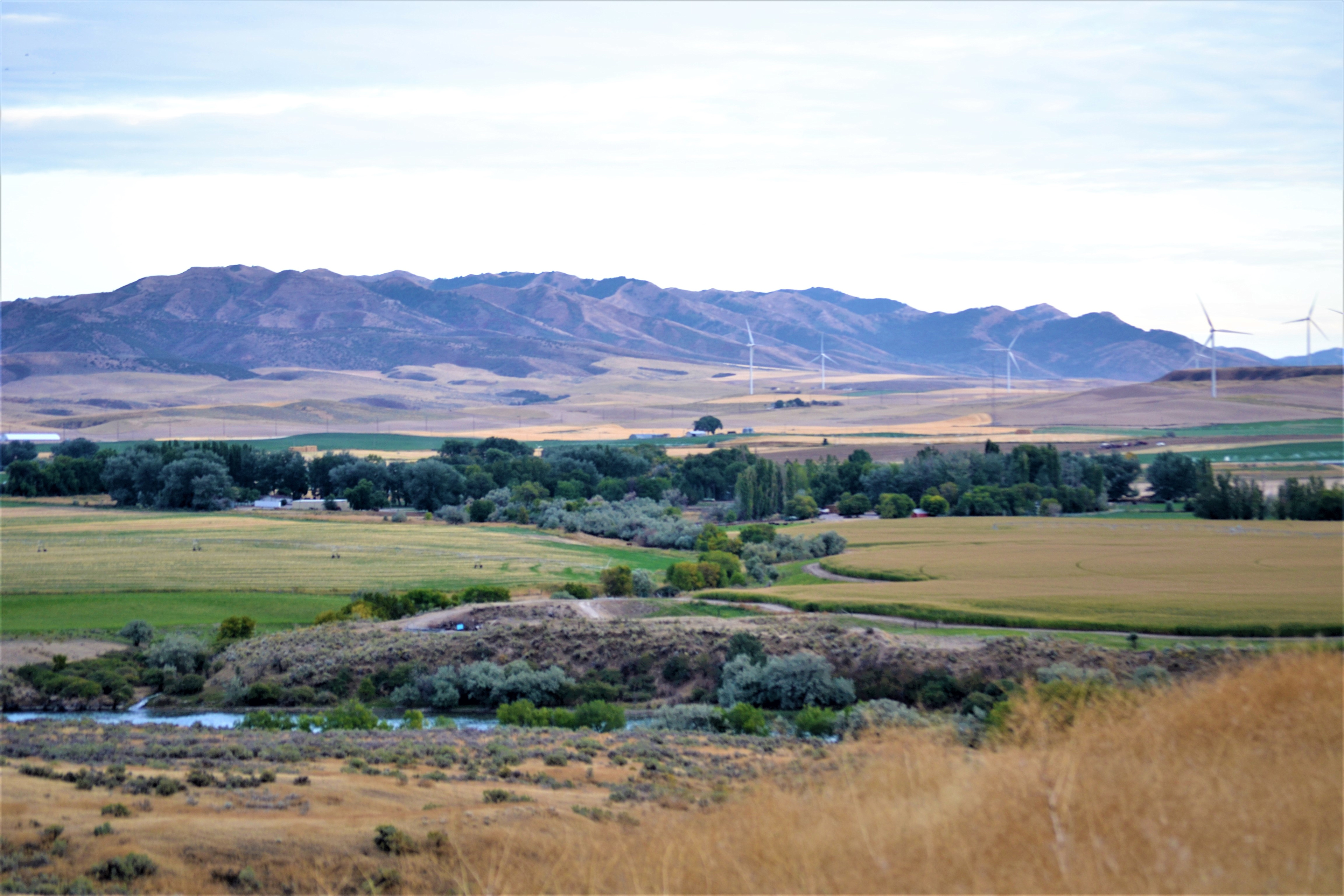 The view at the top before your entry into the Snake River Vista site. Two bar signal on Wifi with Verizon