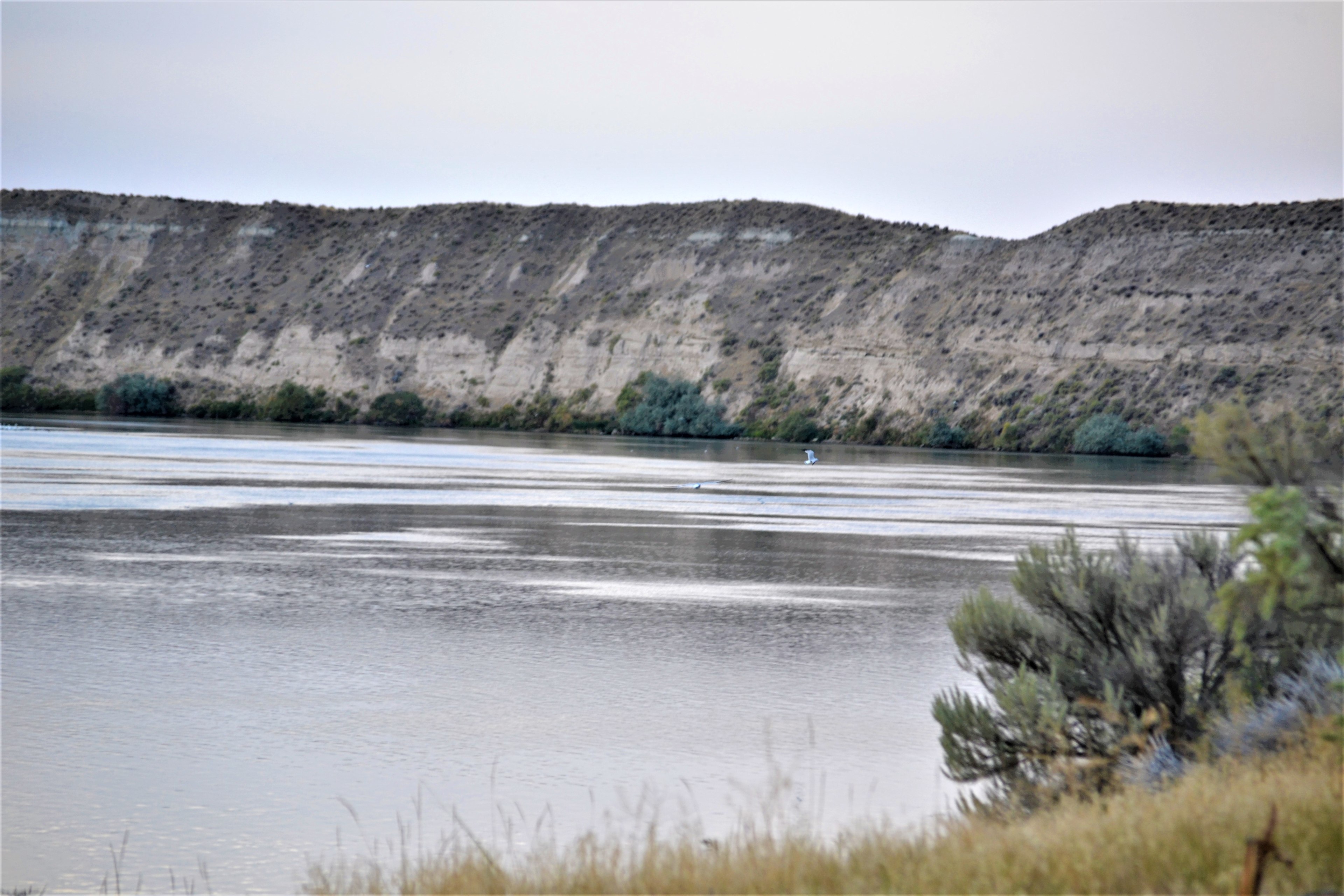 Great area for bird or landscape photography. Isolation, Seclusion for nomads and boondocking.