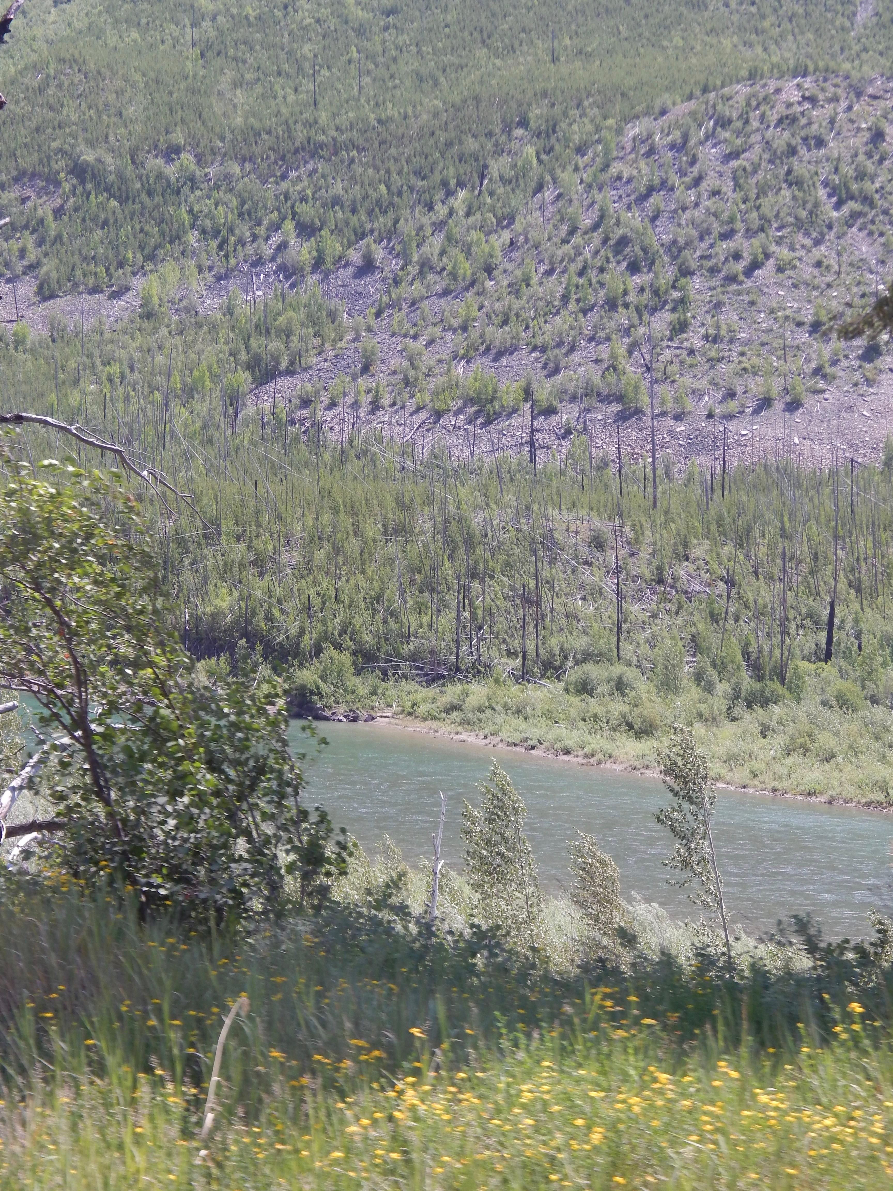 Big Creek Campground