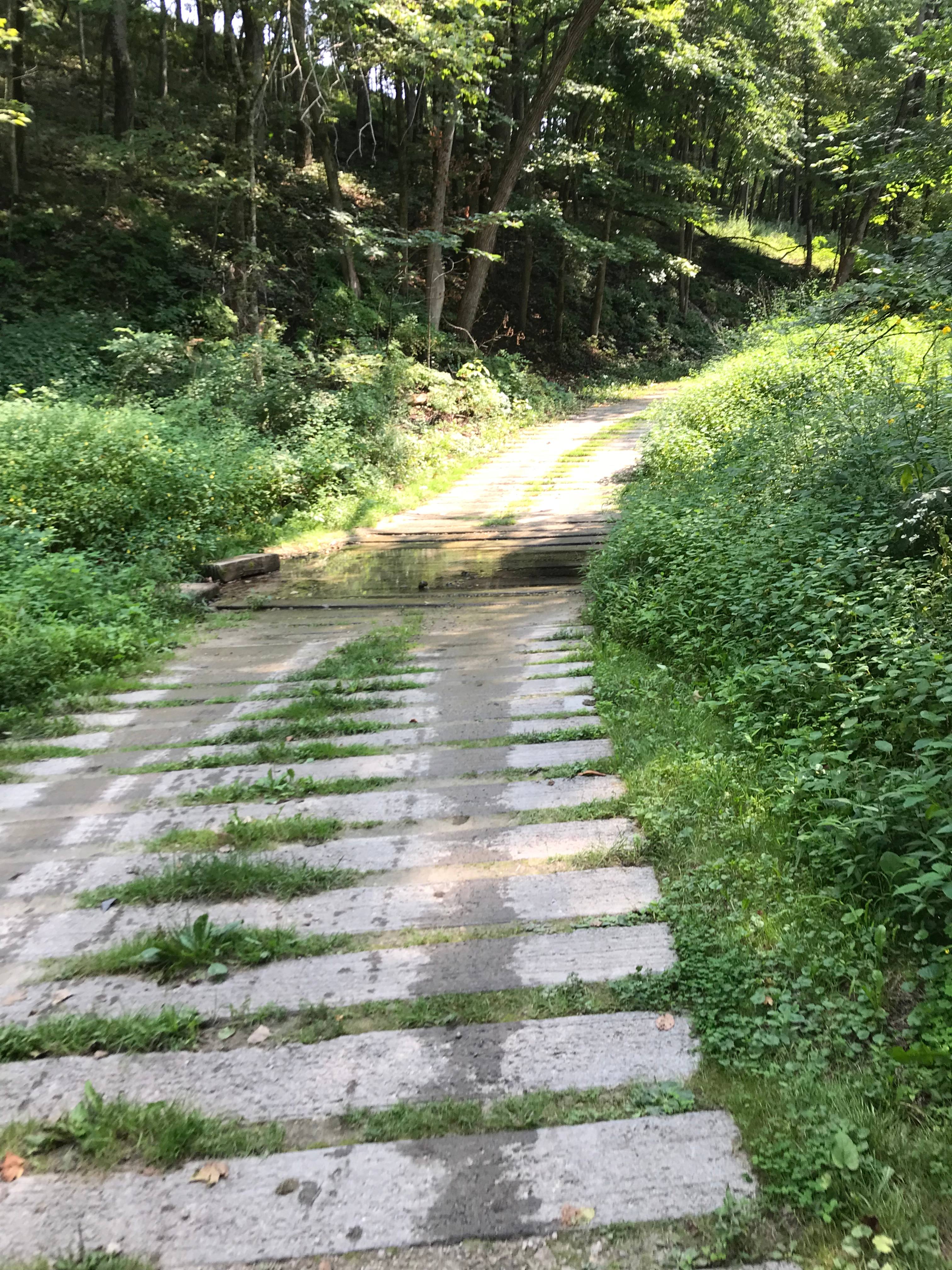 Road to the camp sites